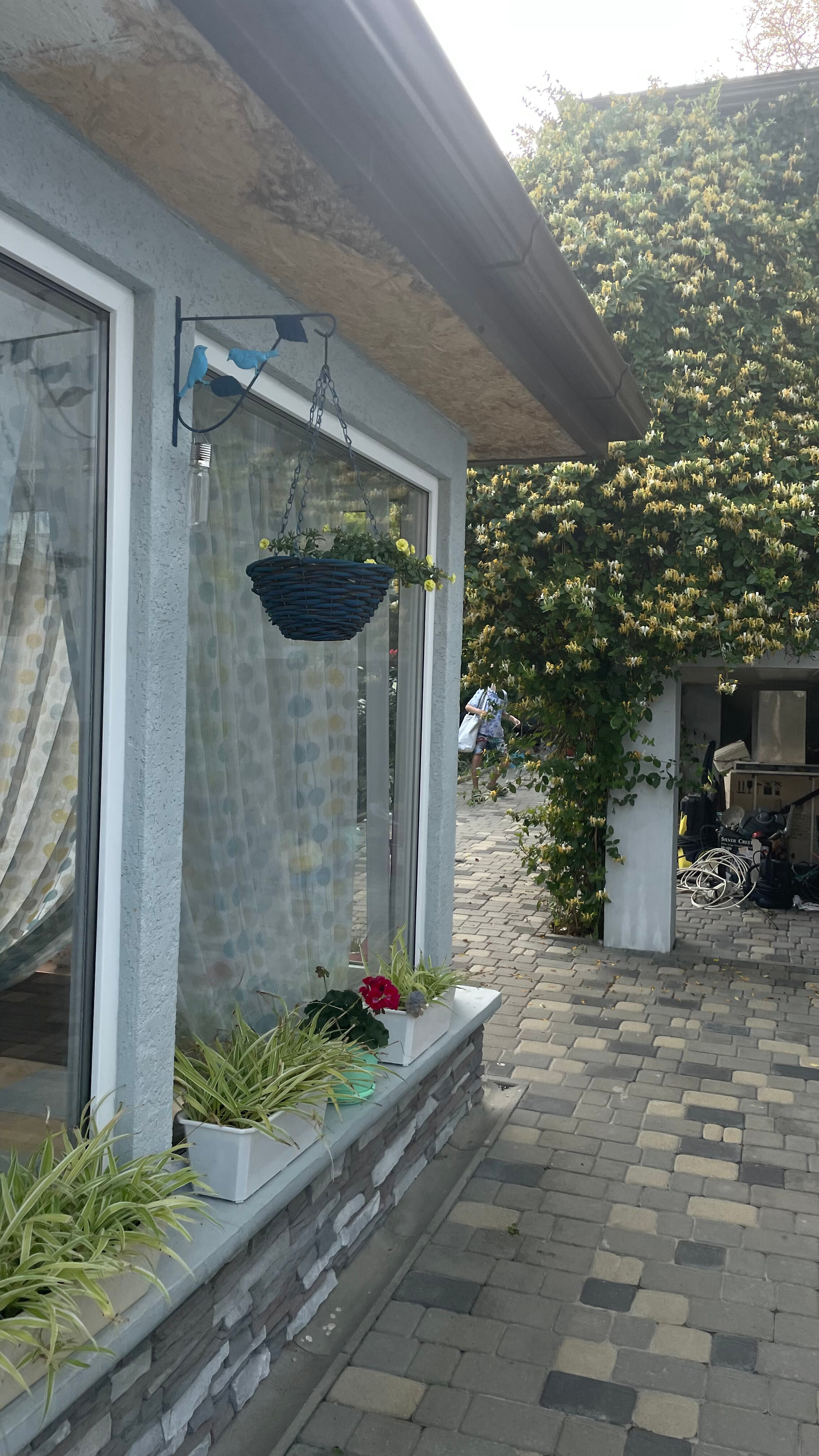 Фото Альтитюд