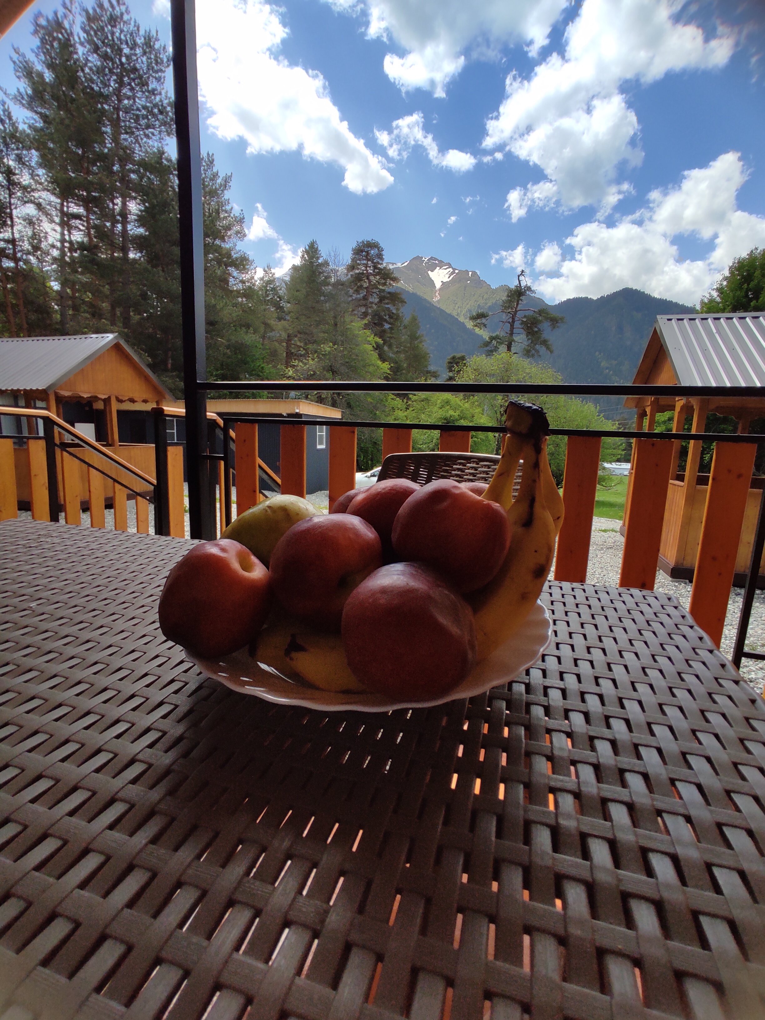 Фото Paradise Forest