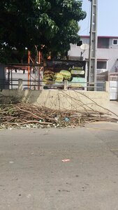 La graça Cafe (Luanda, Rua 12), cafe