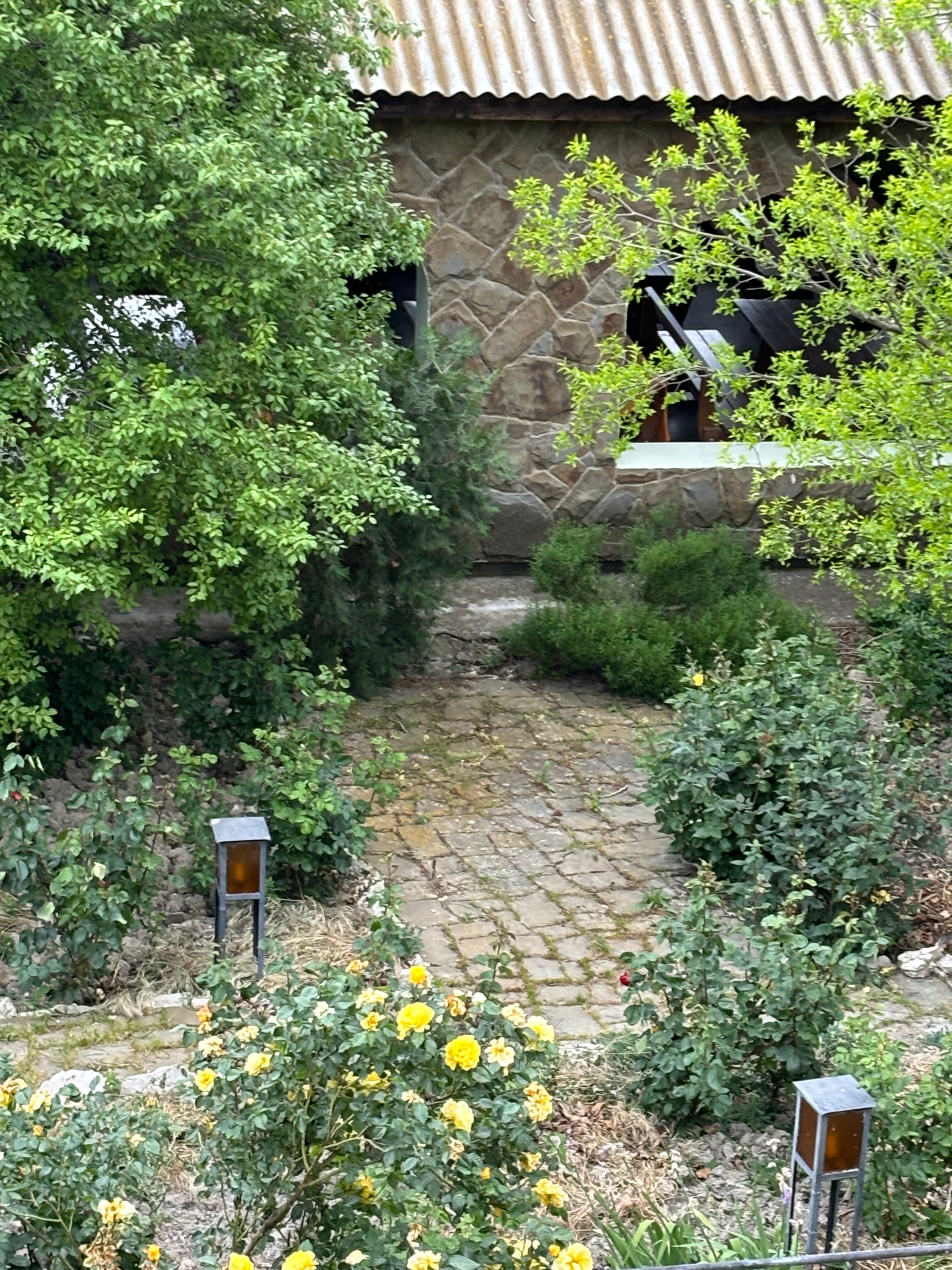 Фото Ilgeri Resort