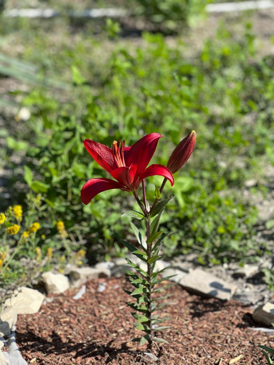 Фото Под звёздами