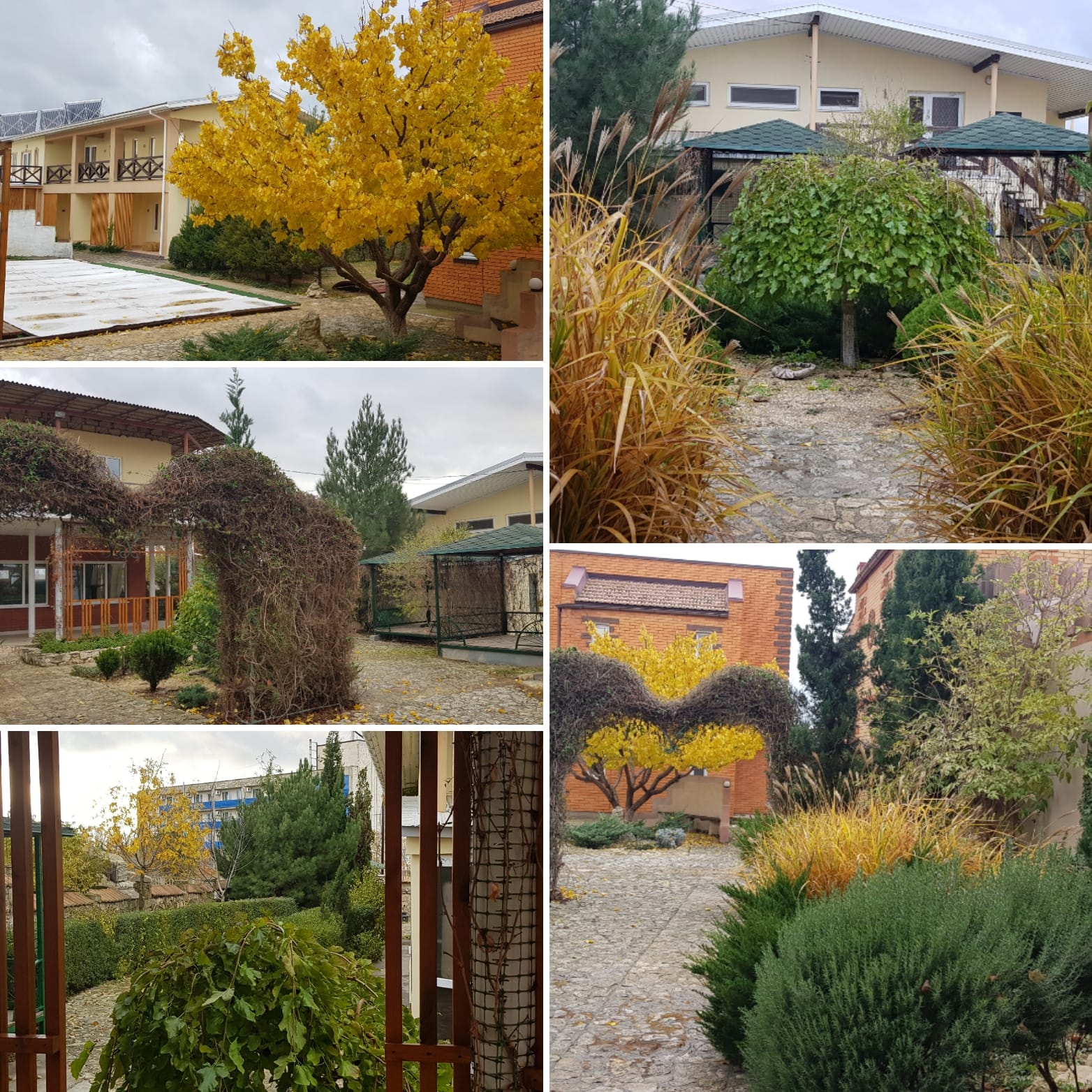 Фото Агидель