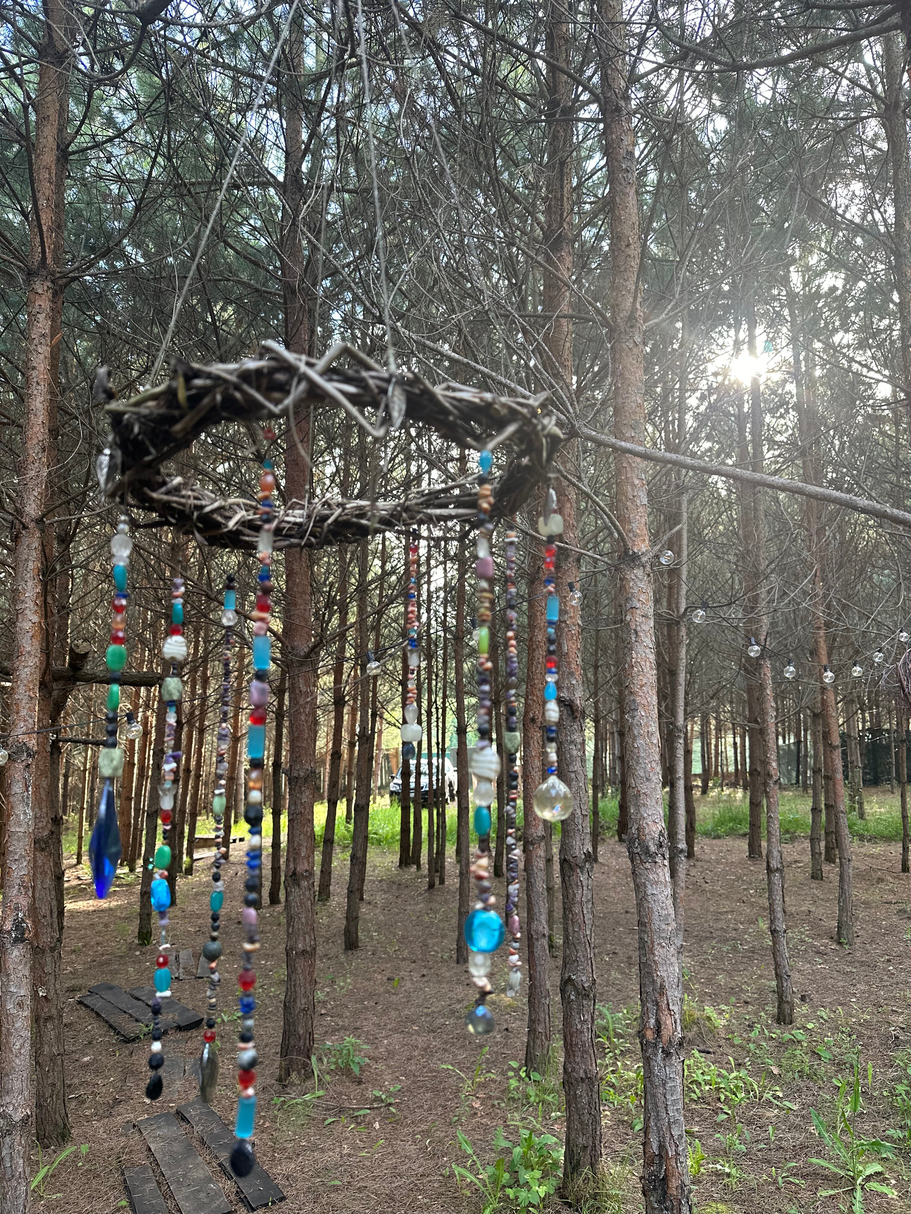 Фото О, Дни в Лесу