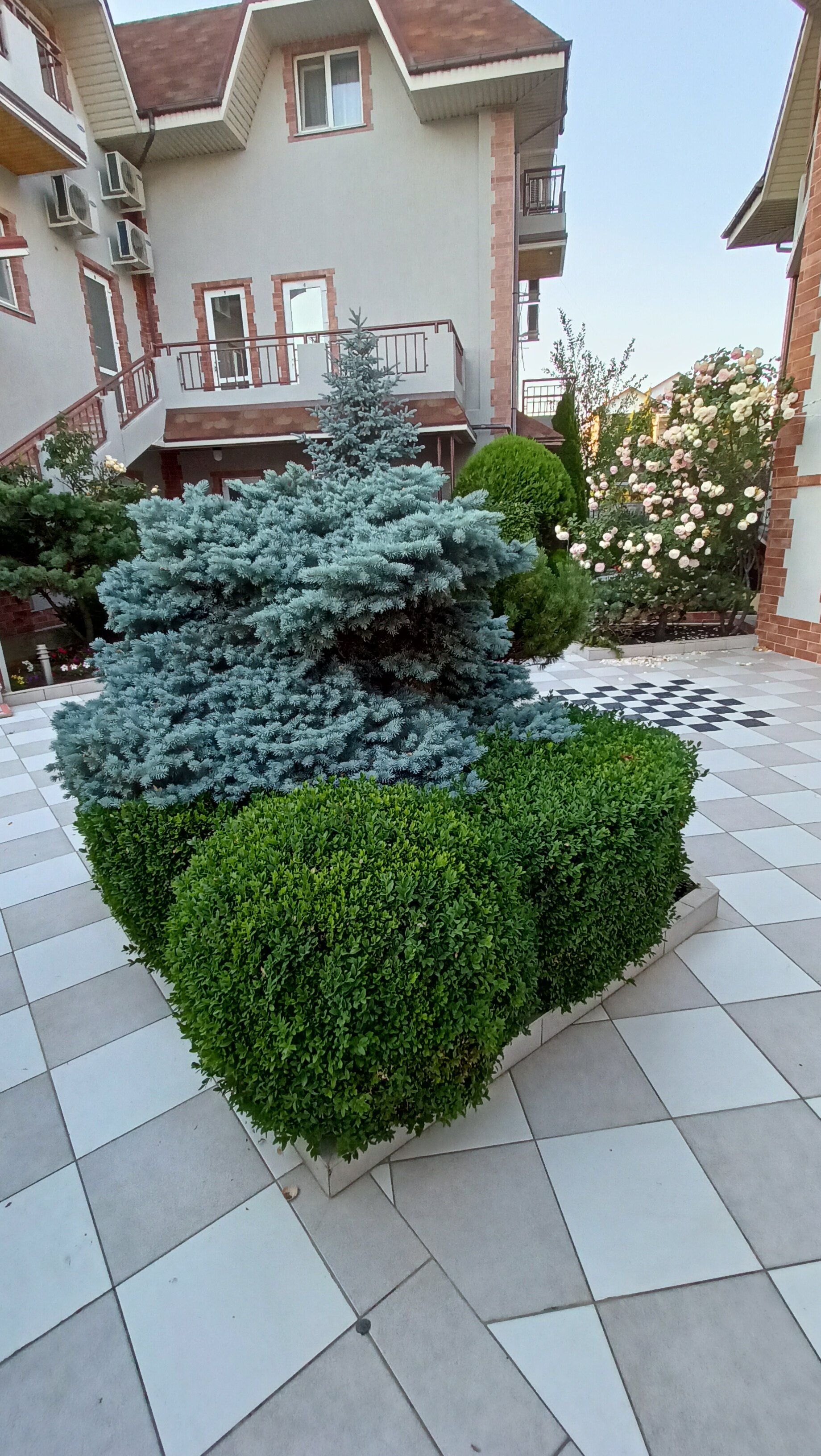 Фото Вилла Жасмин