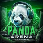 Panda Arena (ulitsa Fauzi Zaylalova, 14), computer club