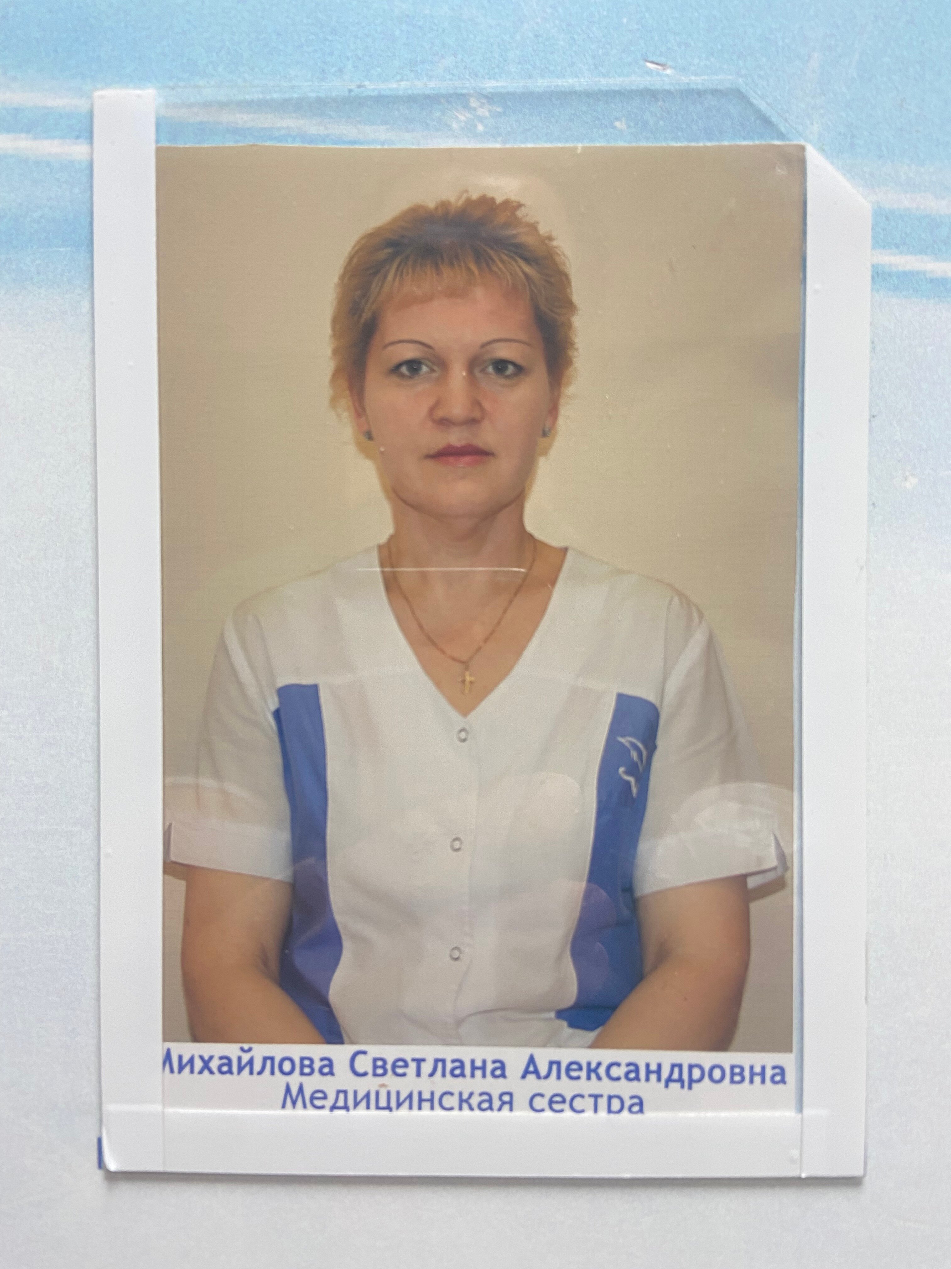 Фото Дельфин