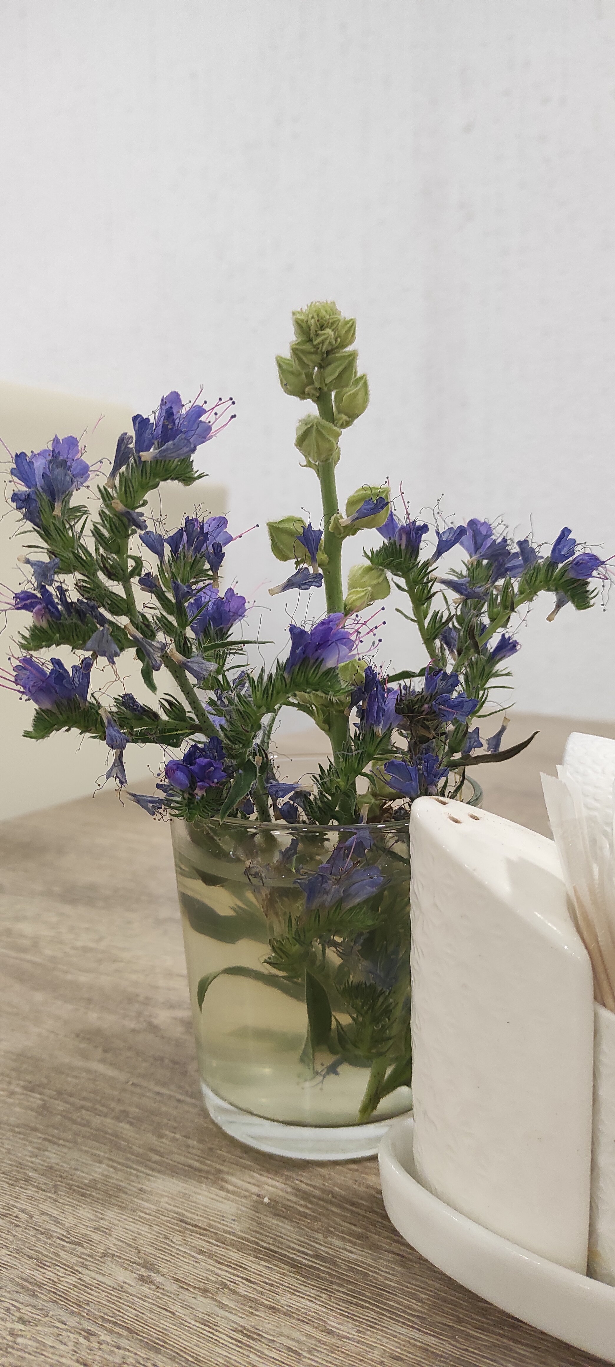 Фото Вилла Анна де Люкс