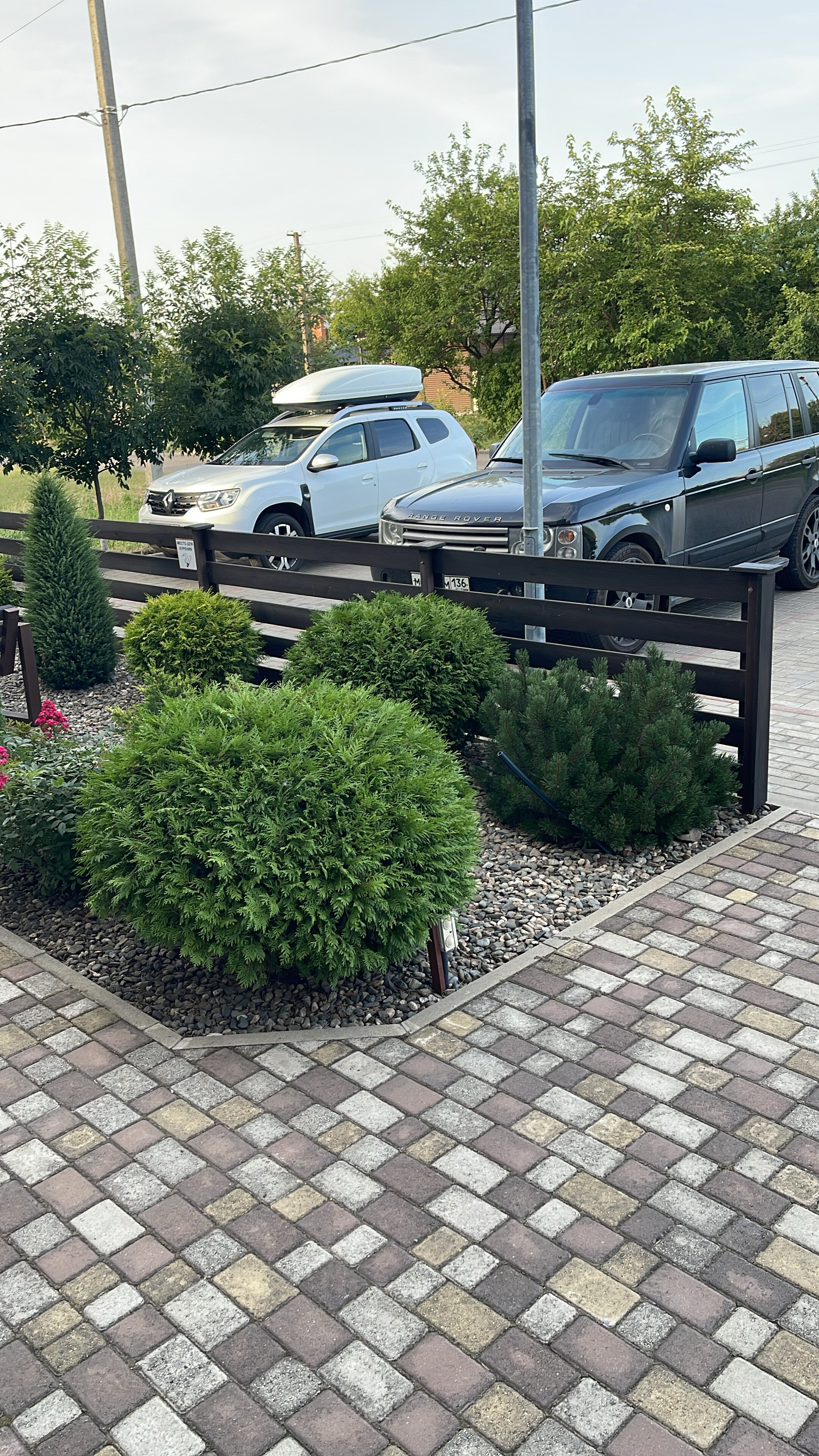 Фото Вертикаль