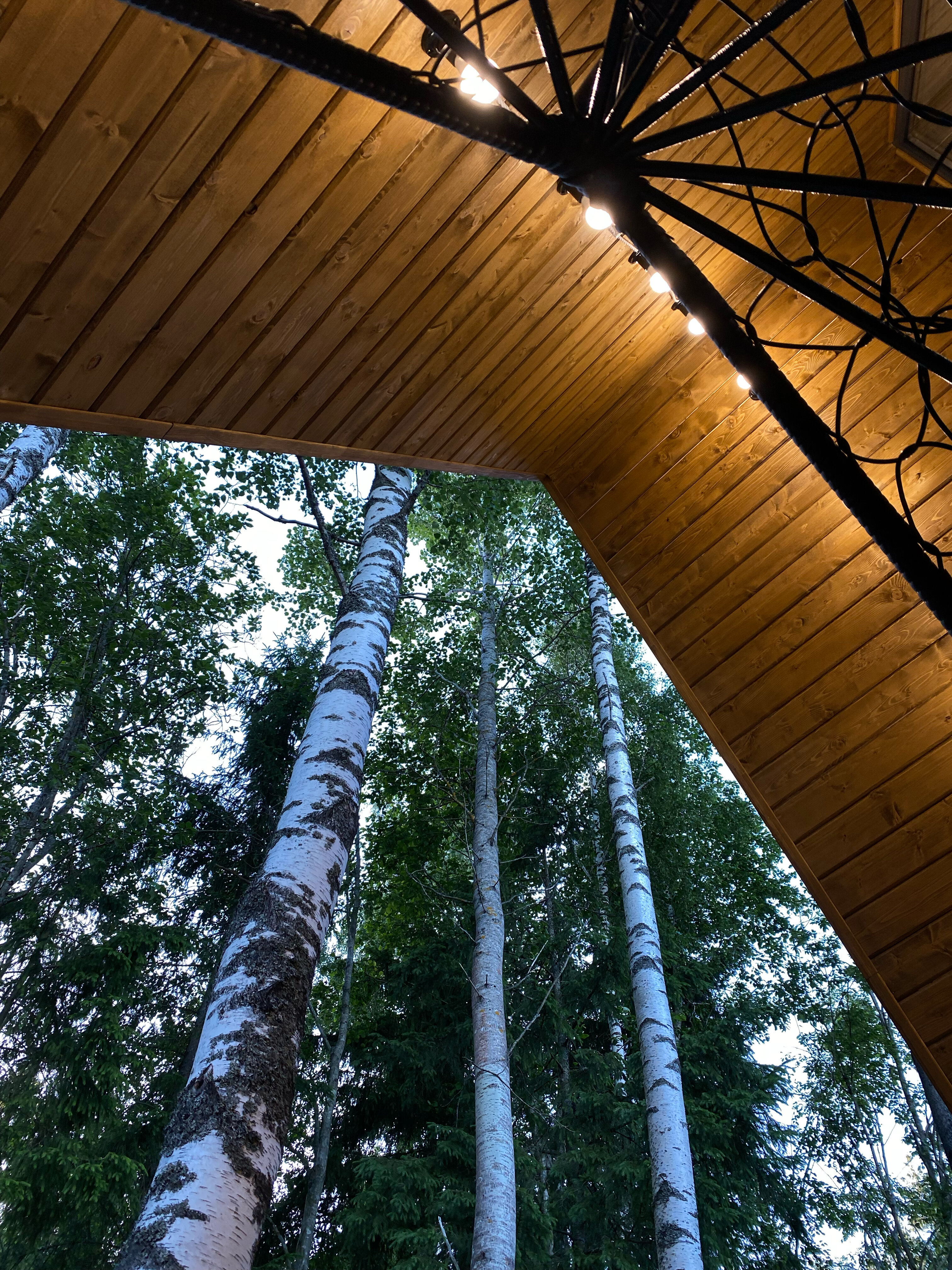 Фото Klever House Лехтуси