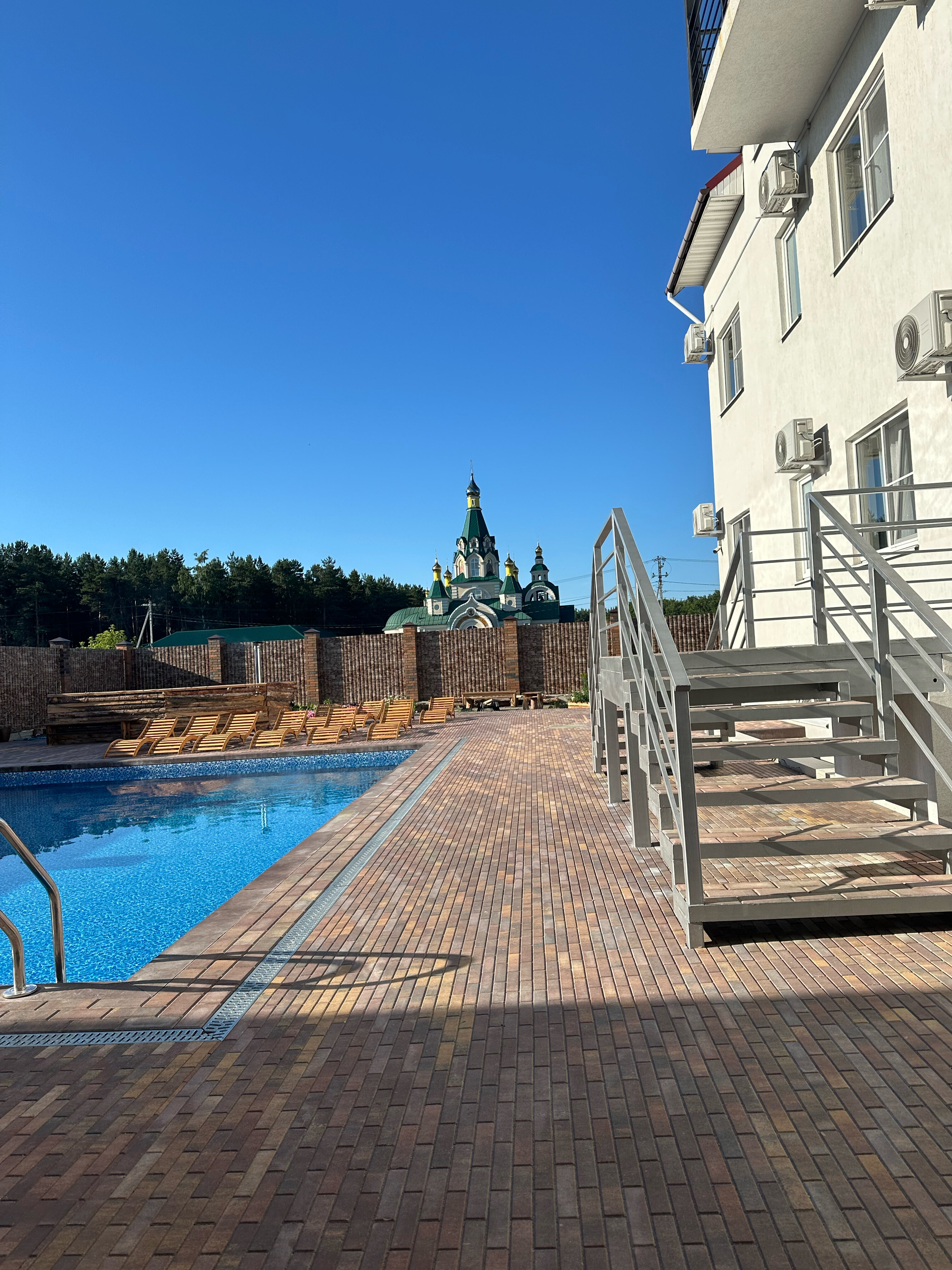 Фото Папоротник