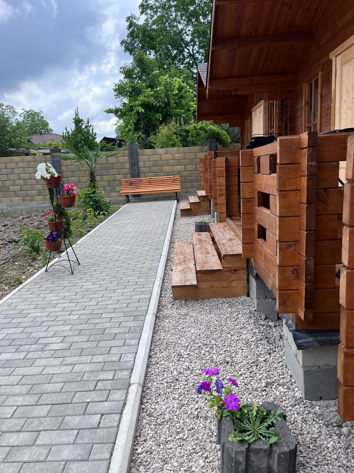 Фото Камелия