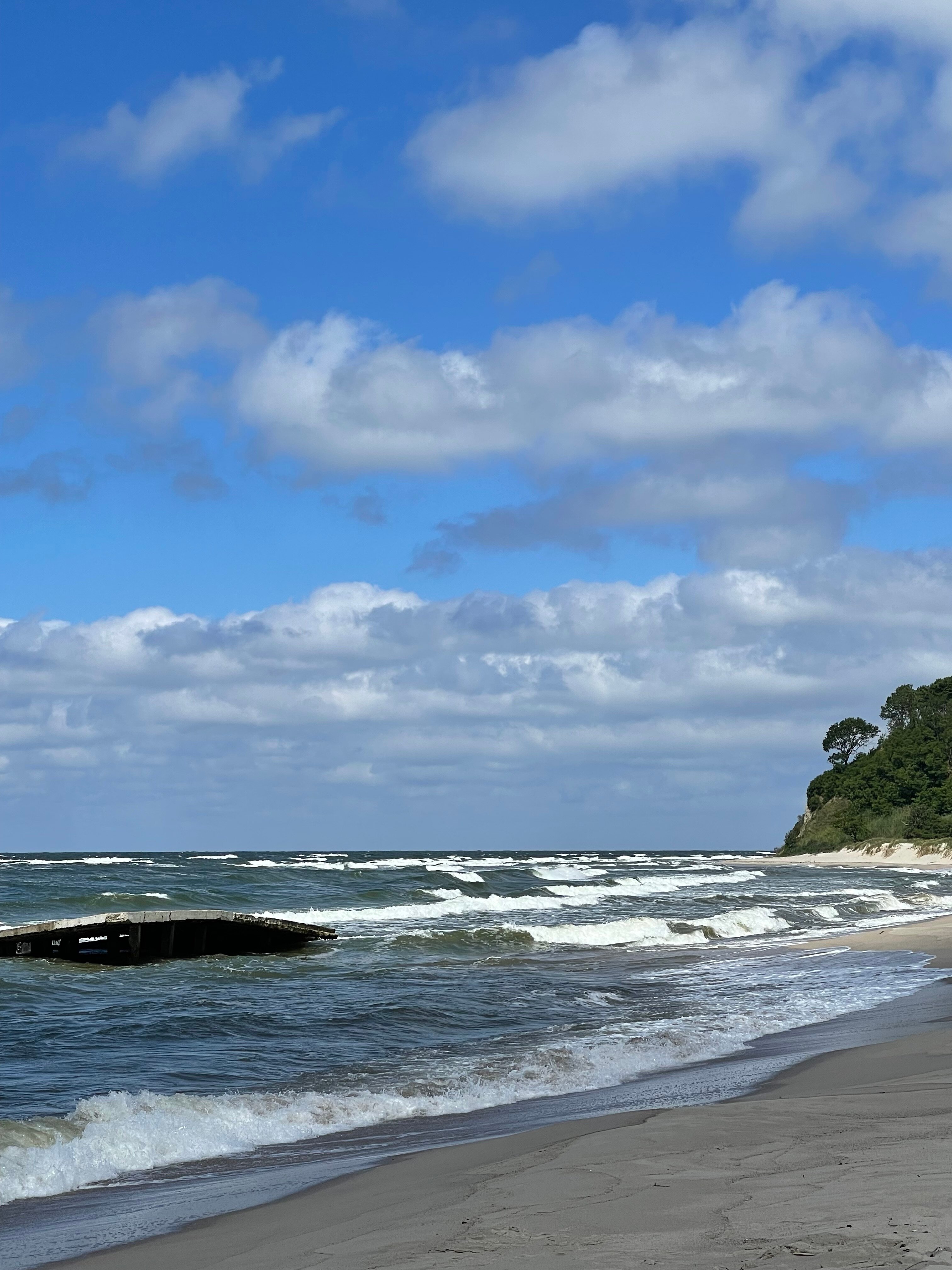 Фото Янтарная Корона