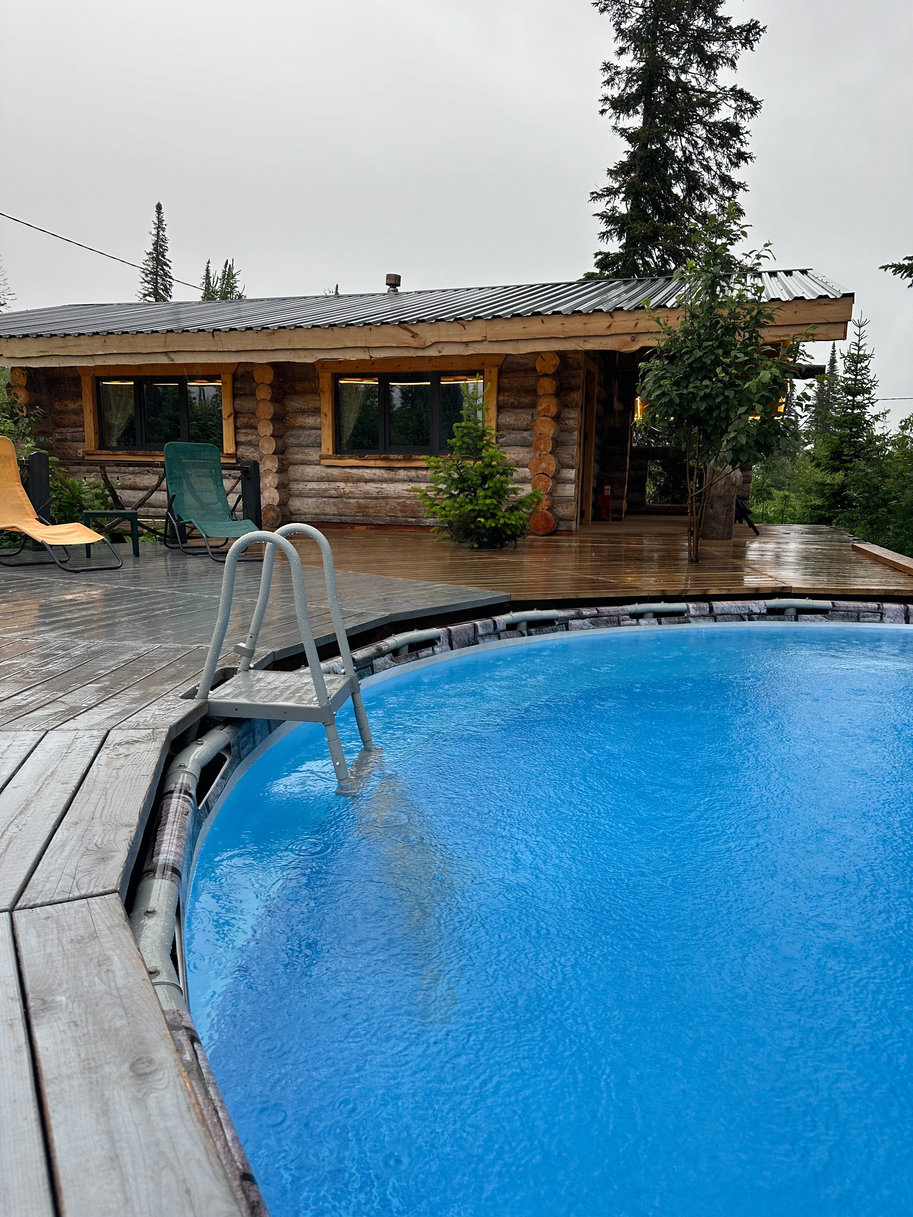 Фото Svekla project