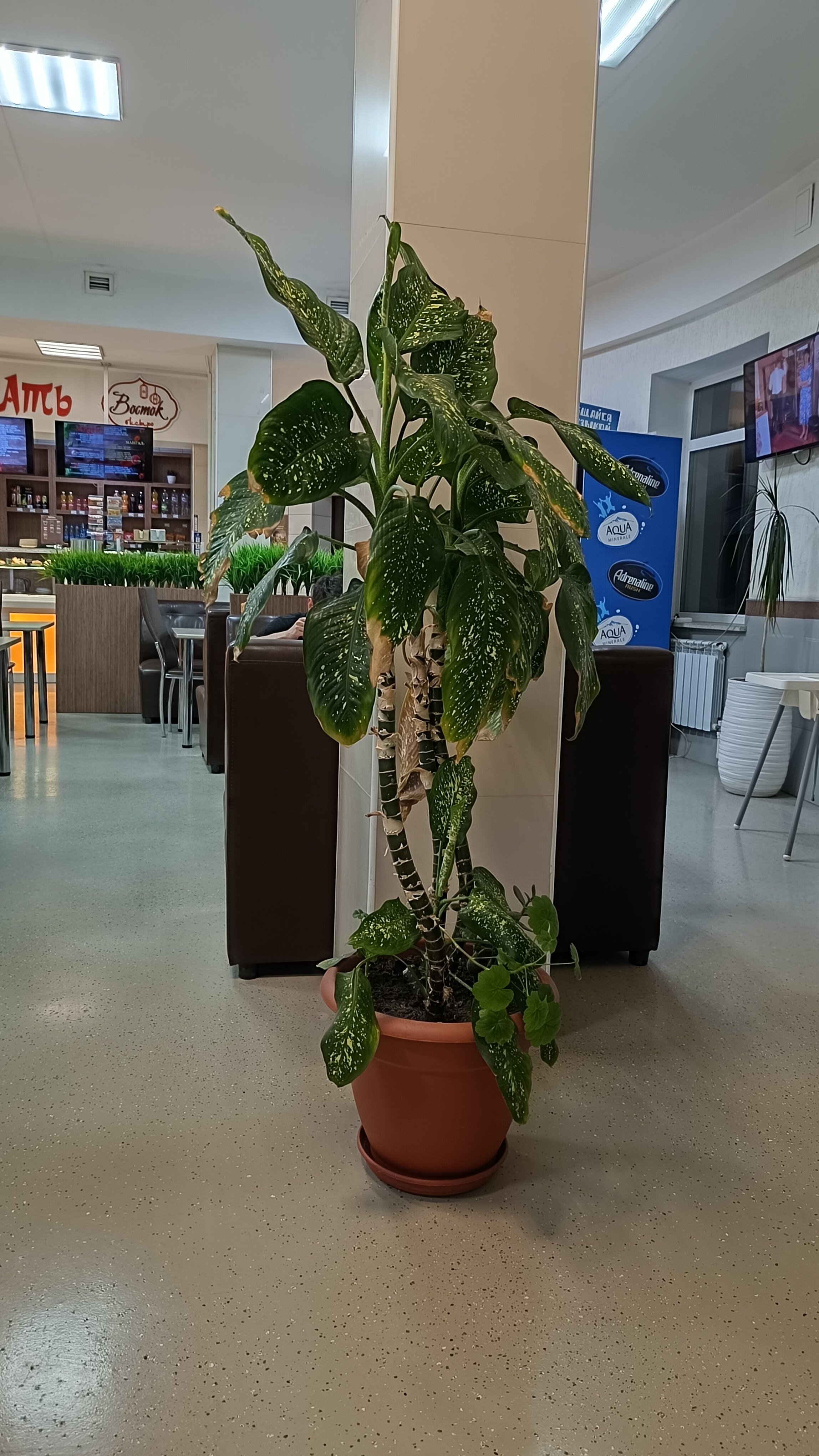 Фото Восток 1453