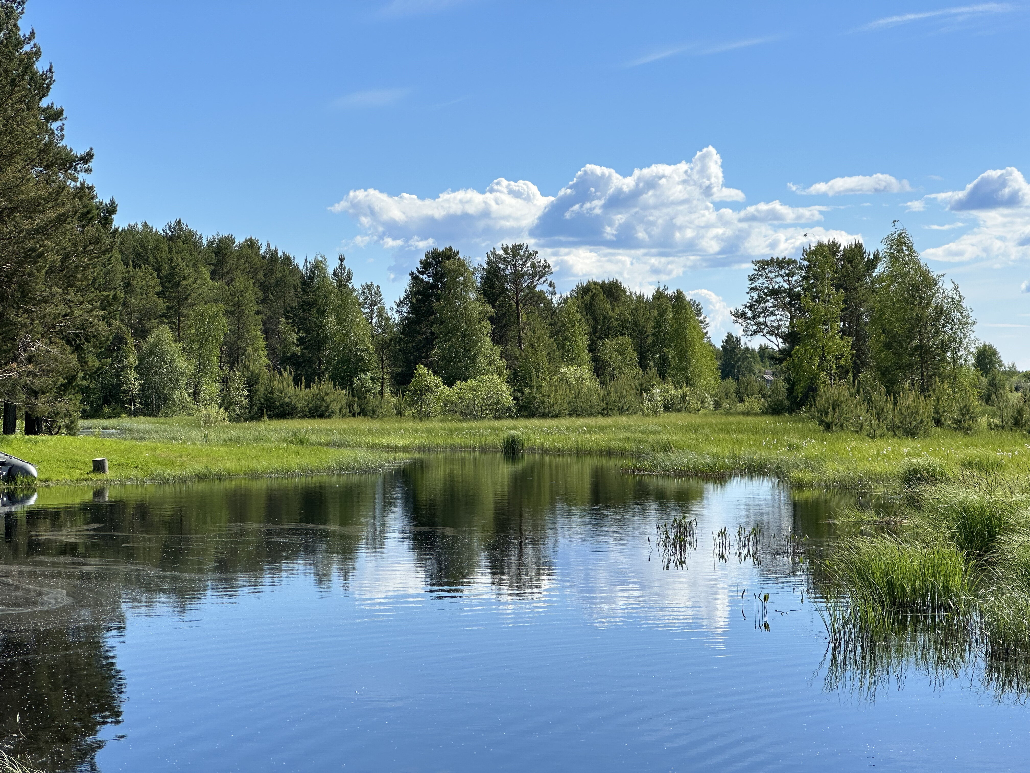 Фото Челмужская усадьба