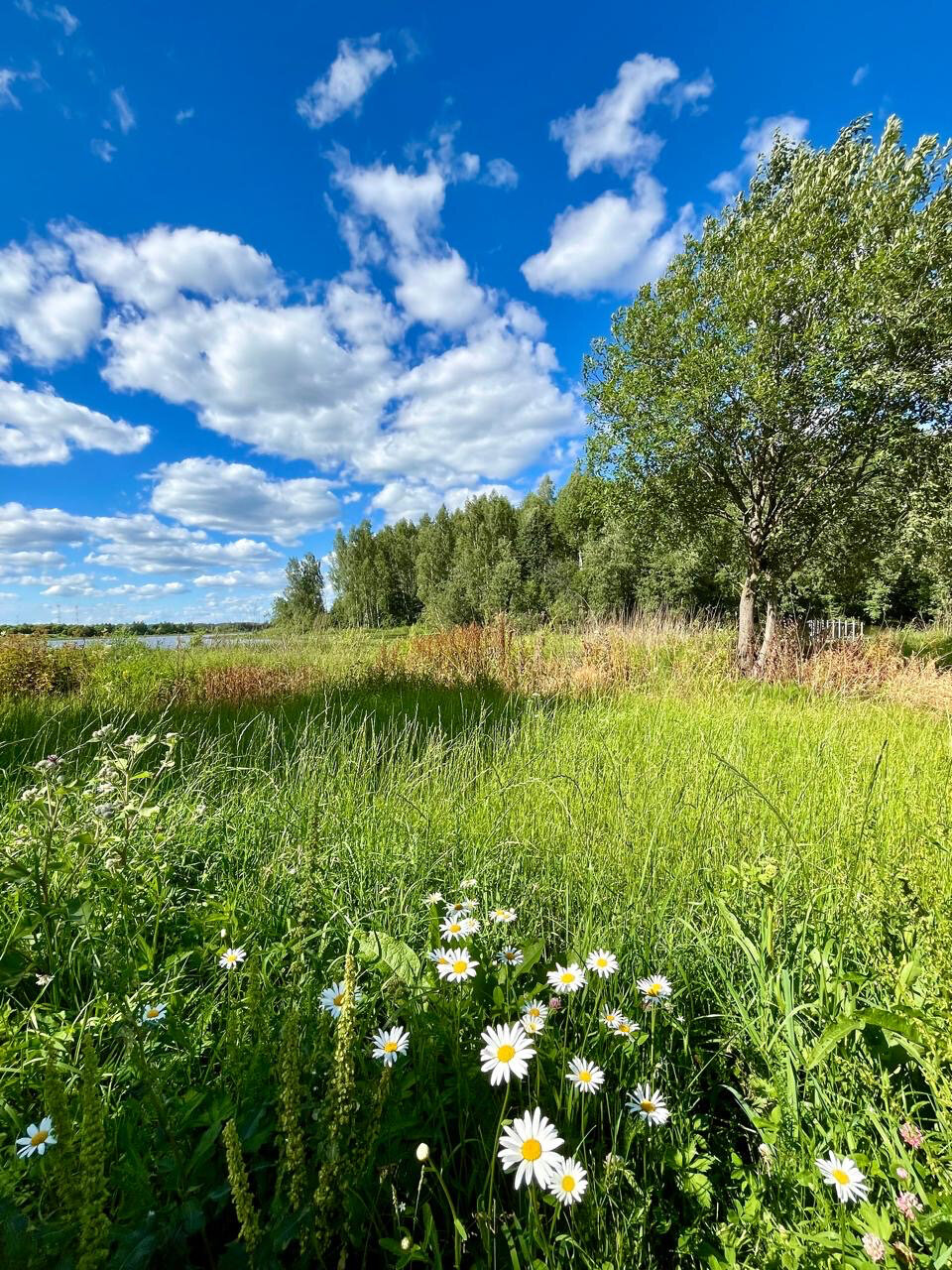 Фото Ферма моей мамы