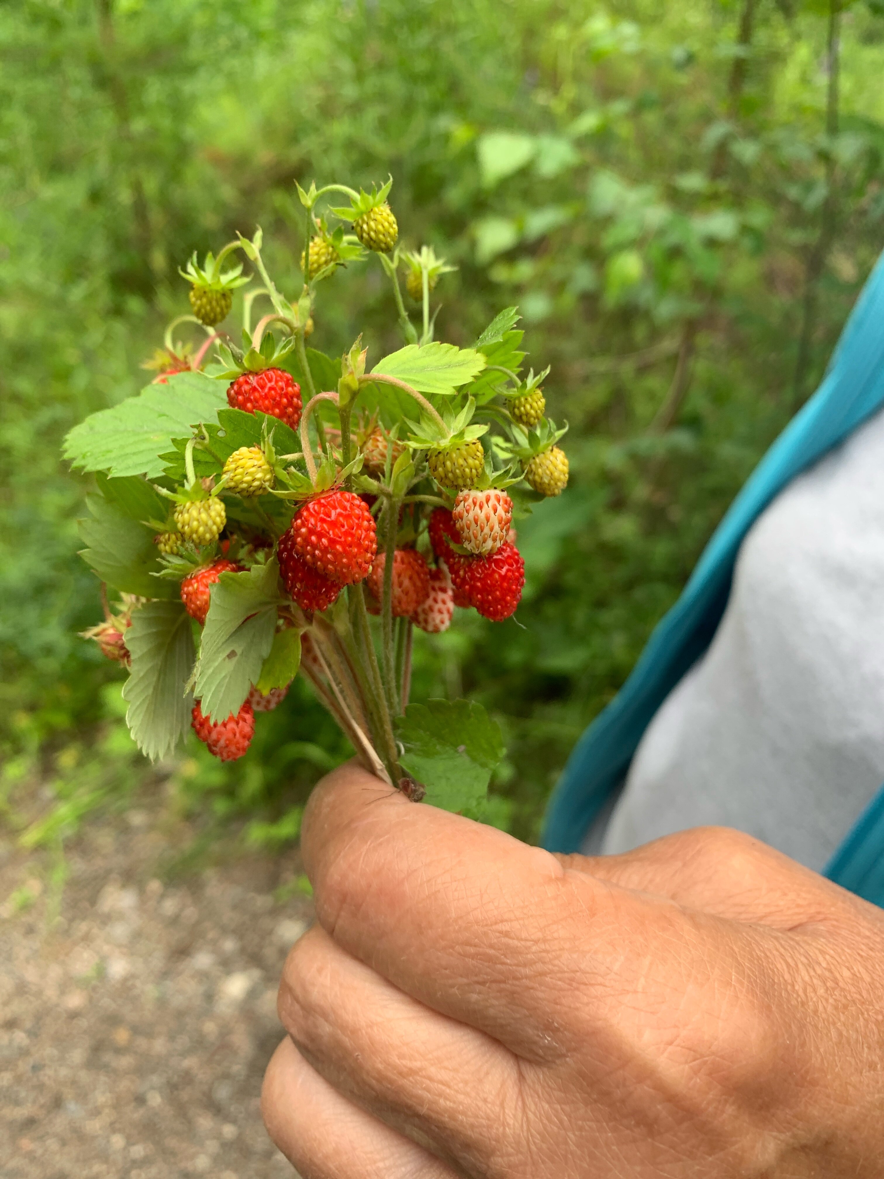 Фото Четыре Сезона