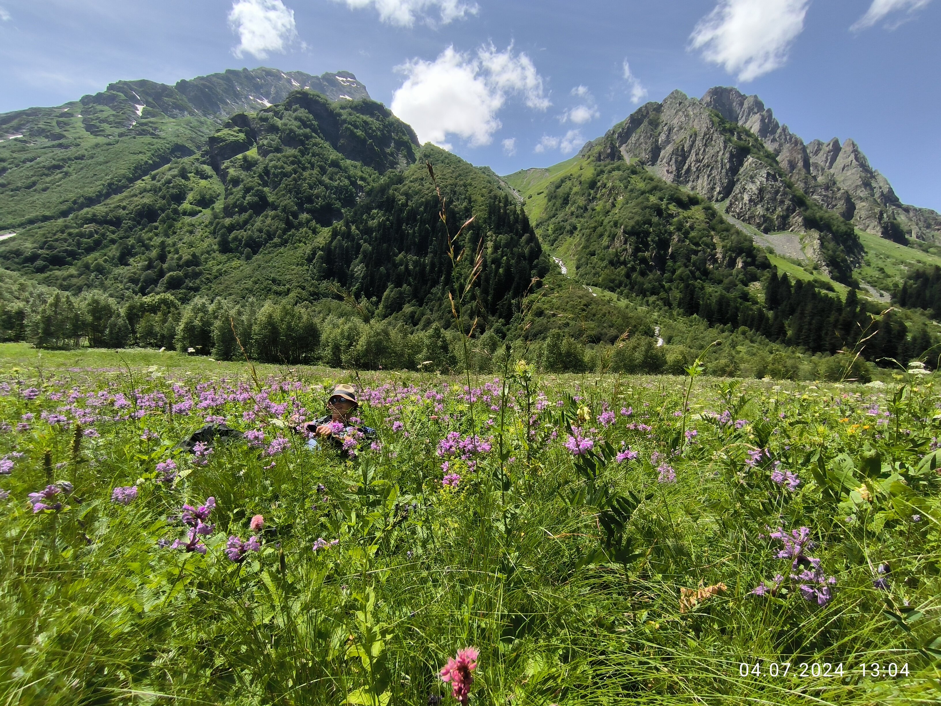 Фото ПихтаHouse