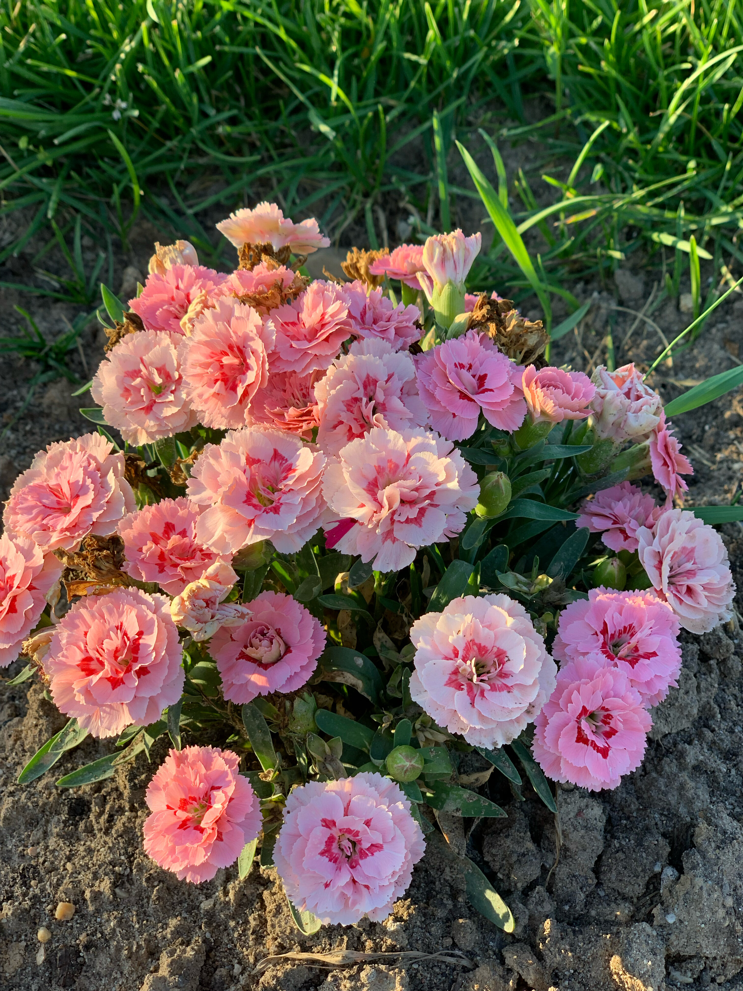 Фото Хижина рыбака