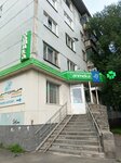 Elit optika (Internatsionalistov Street, 9), opticial store