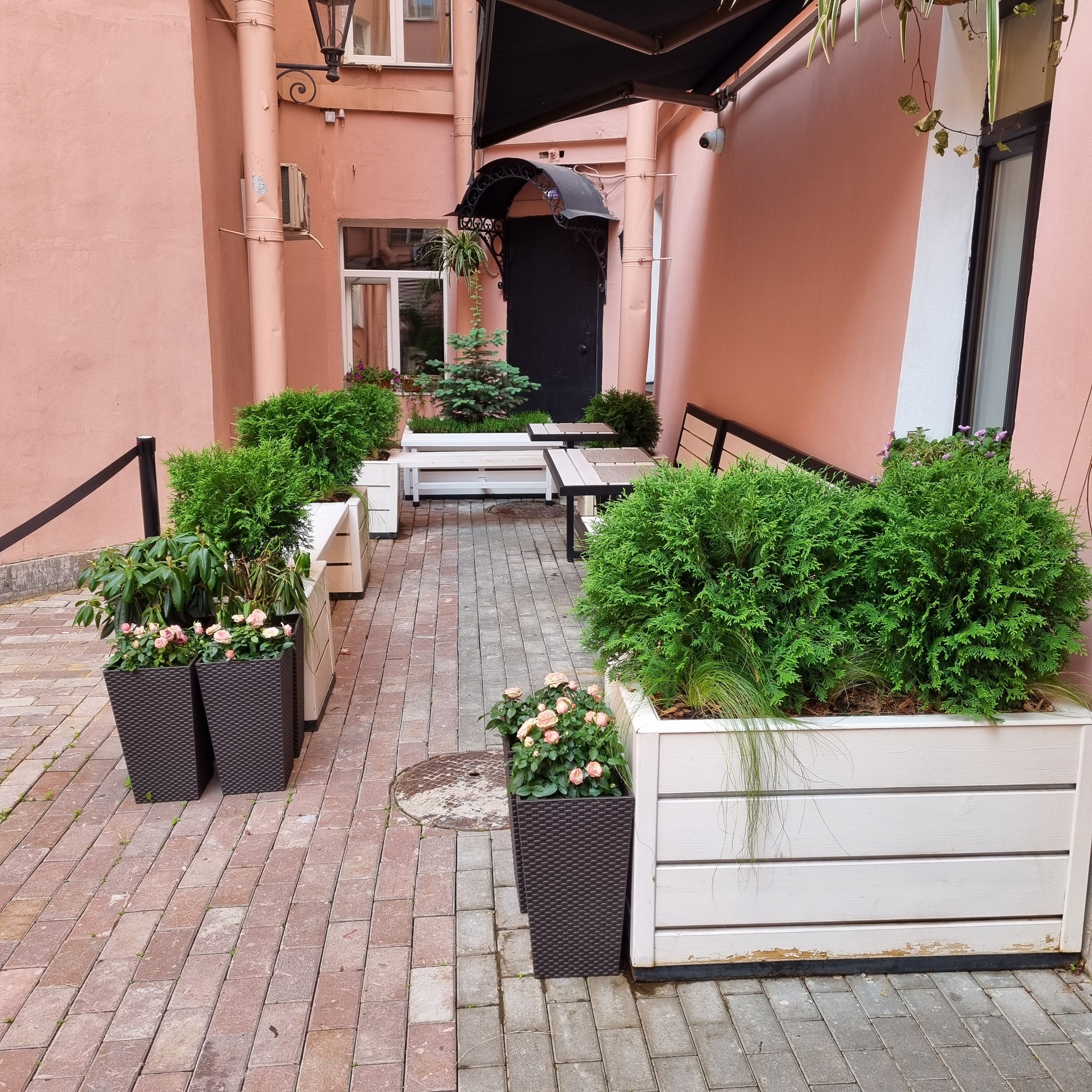 Фото Марипоса