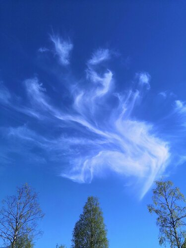 Дом в аренду Хутор Маткалампи в Сумериа