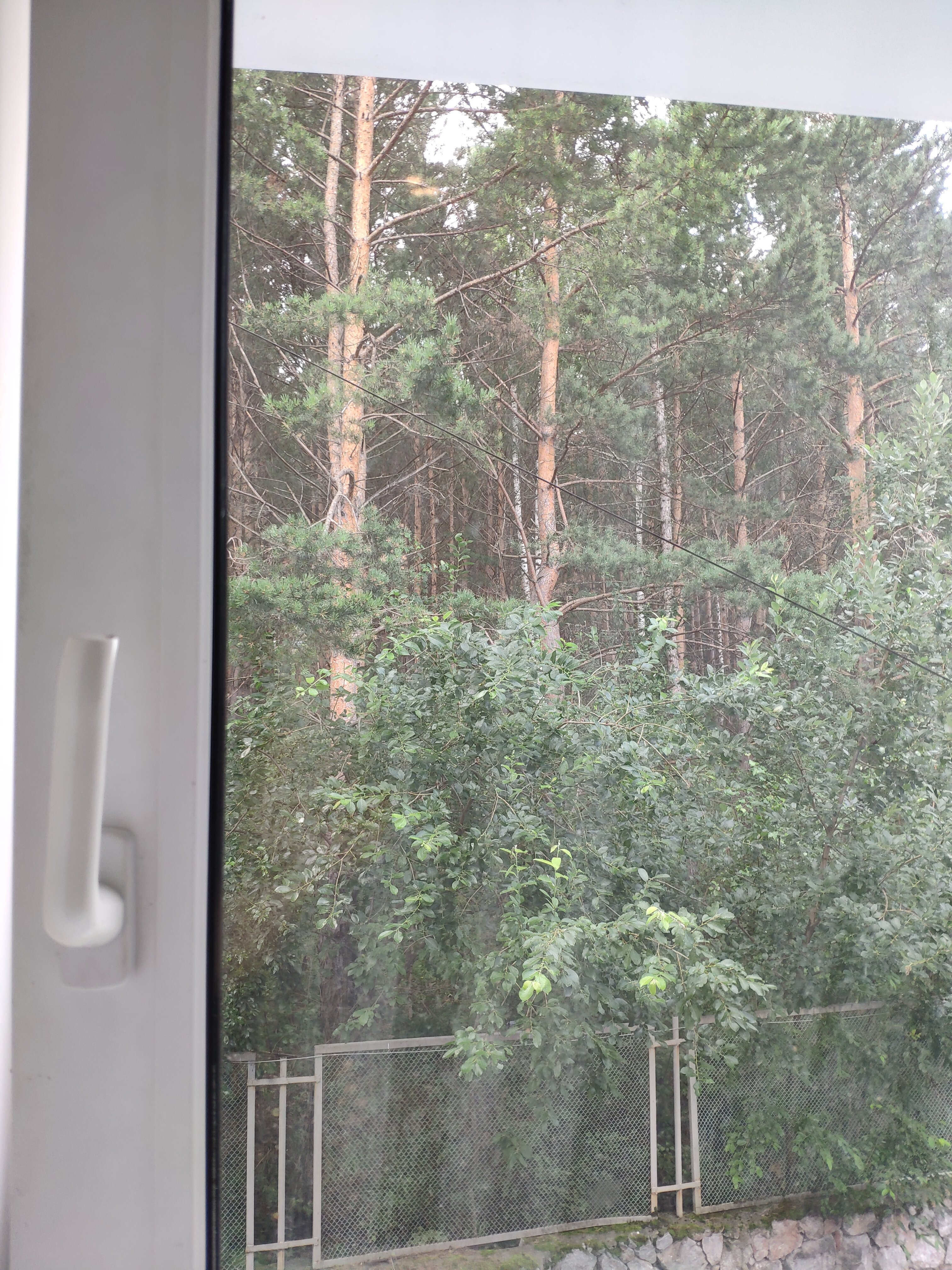 Фото Villa Forrest