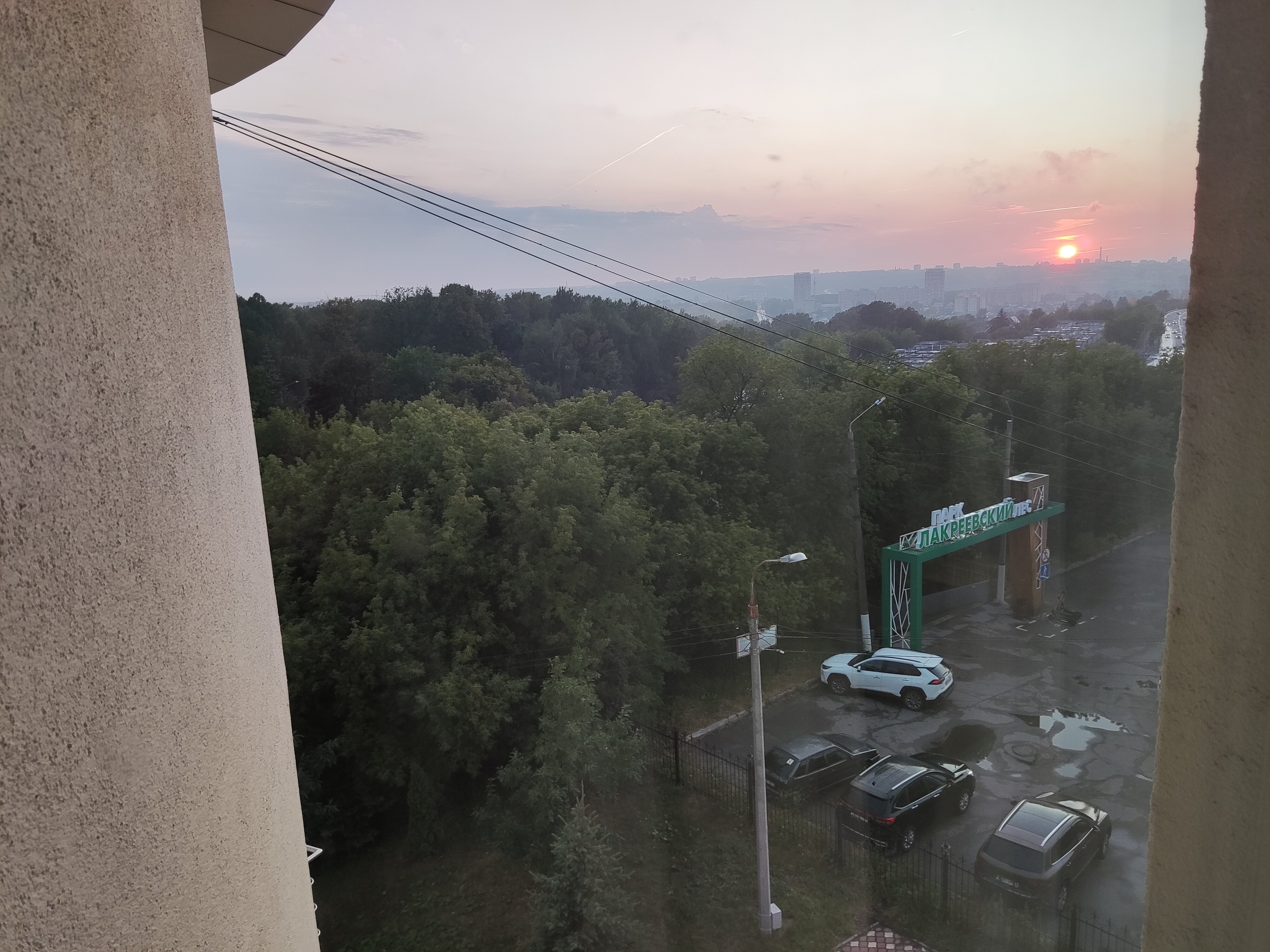 Фото Дубрава