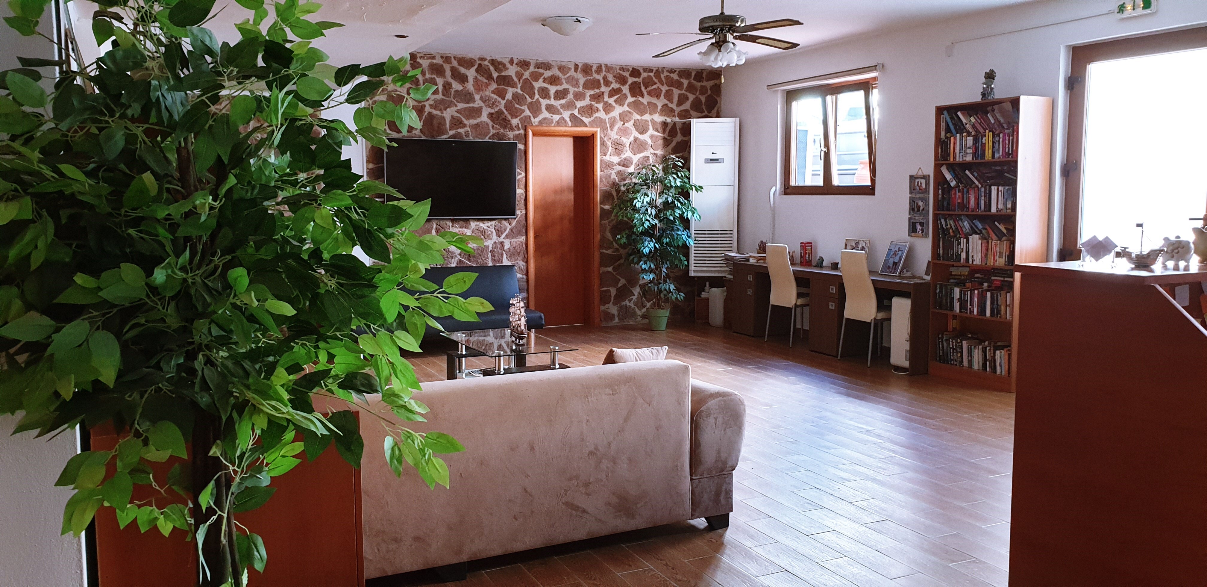 Фото Apollo Studios