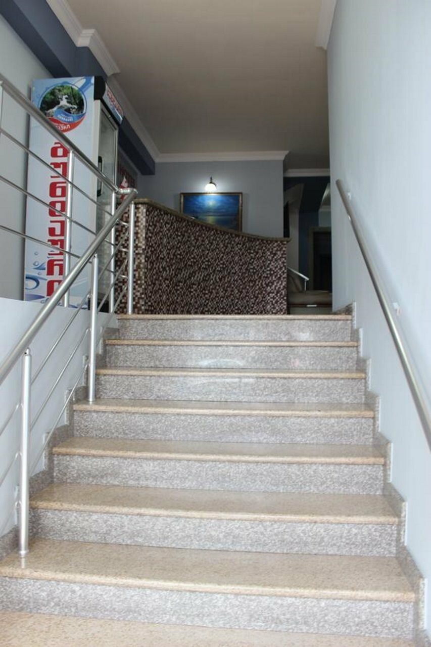 Фото Дельфин