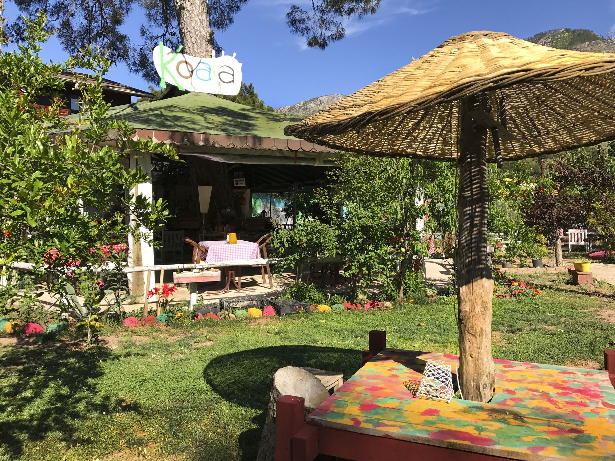 Фото Koala Bungalows