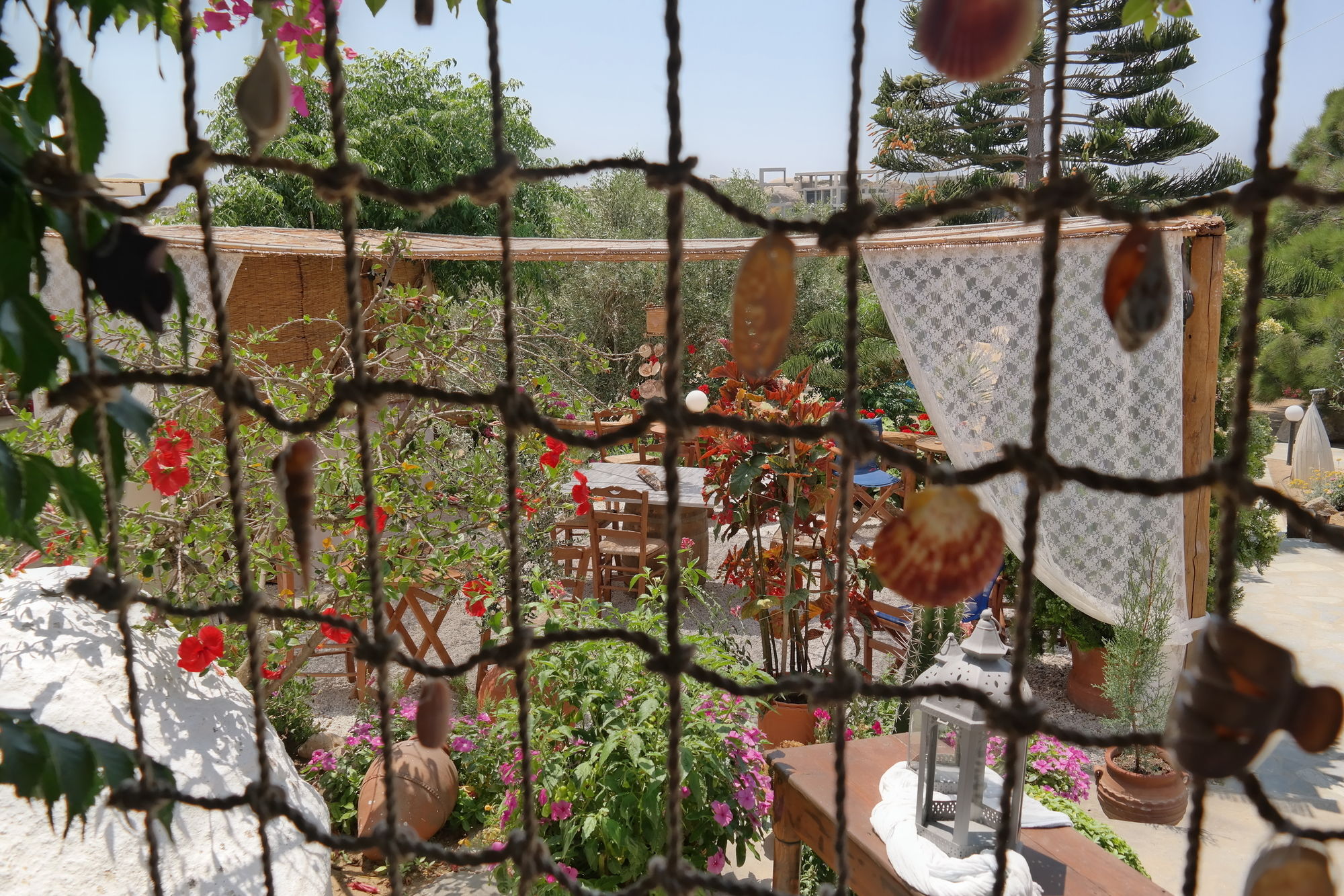 Фото Sun Rock Boutique Suites