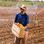 Global Crops (Distrital Santiago de Surco, Jirón Batallón Tarma, 111), fertilizers