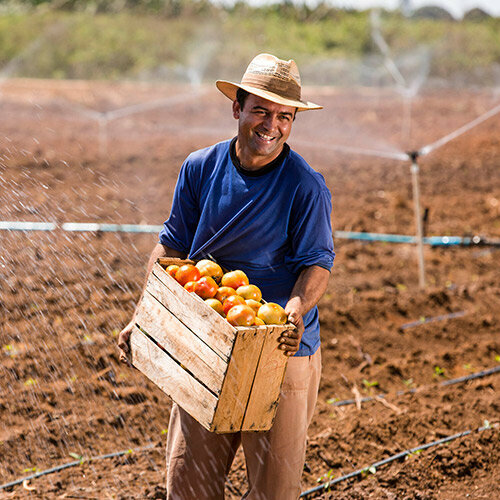 Fertilizers Global Crops, Lima, photo