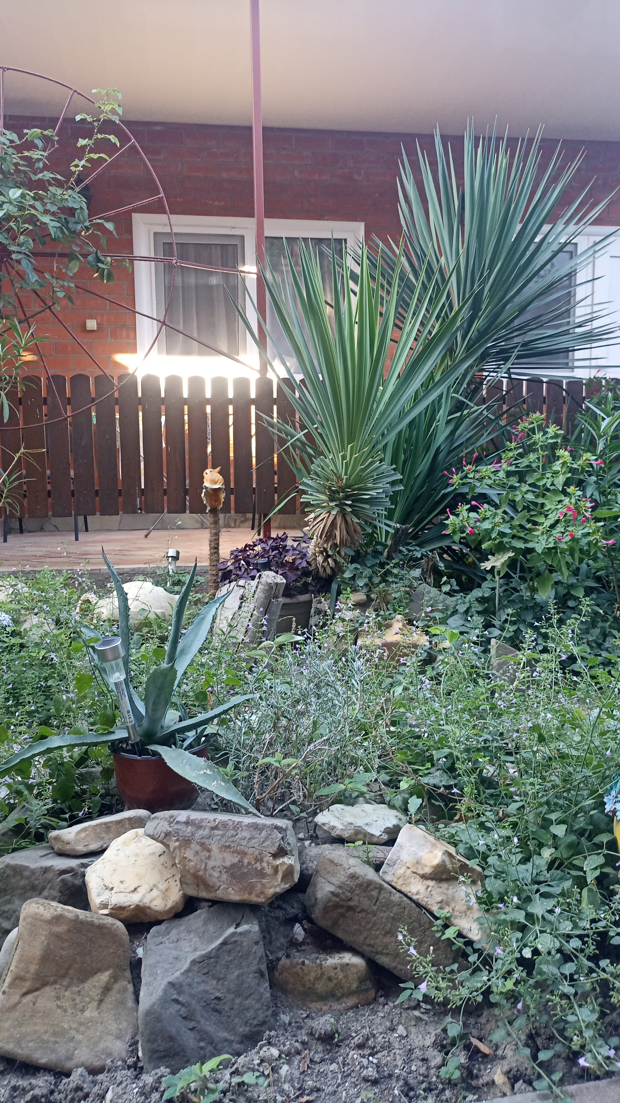 Фото Гостевой дом Лиана