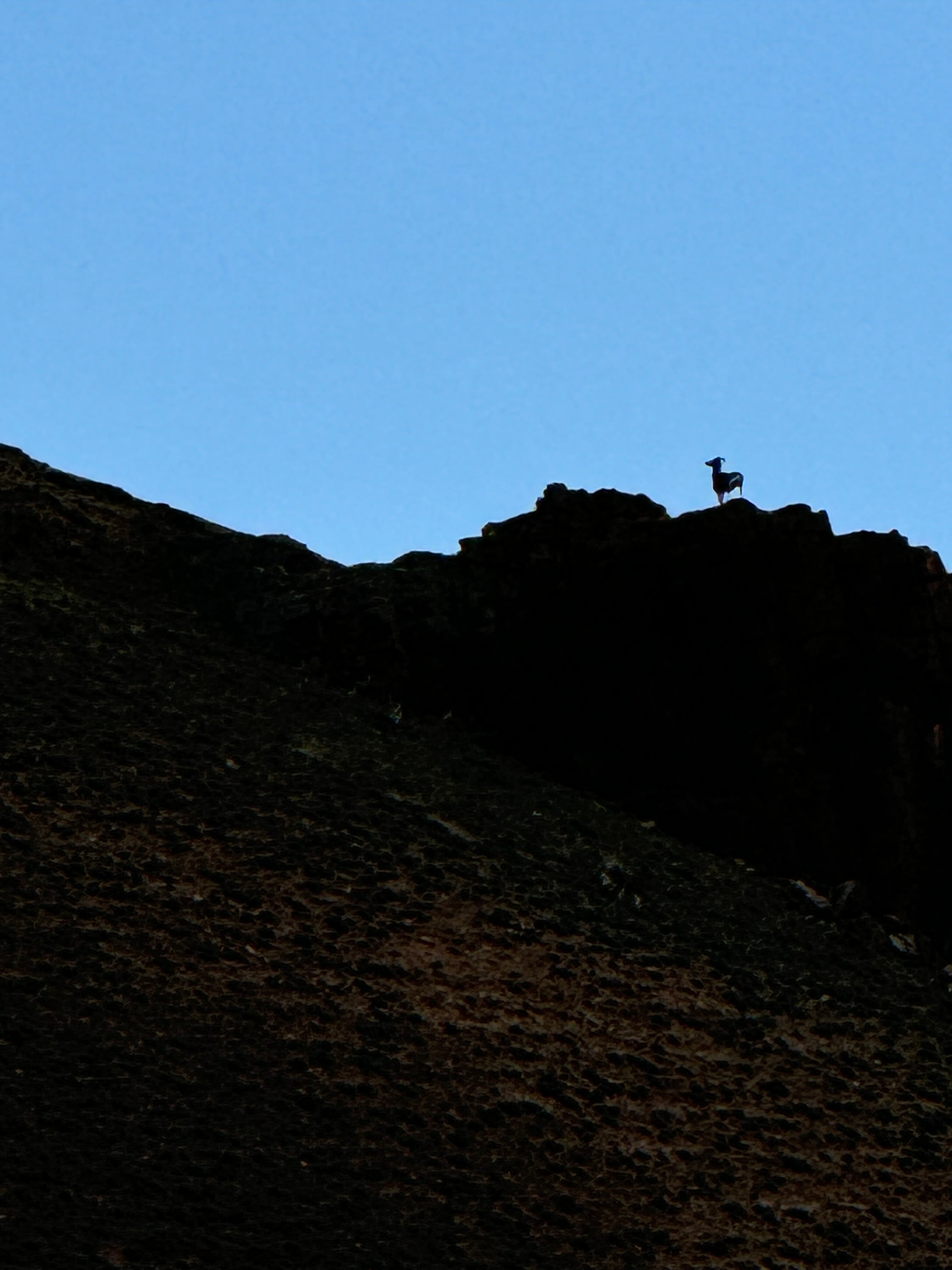 Фото Аррали