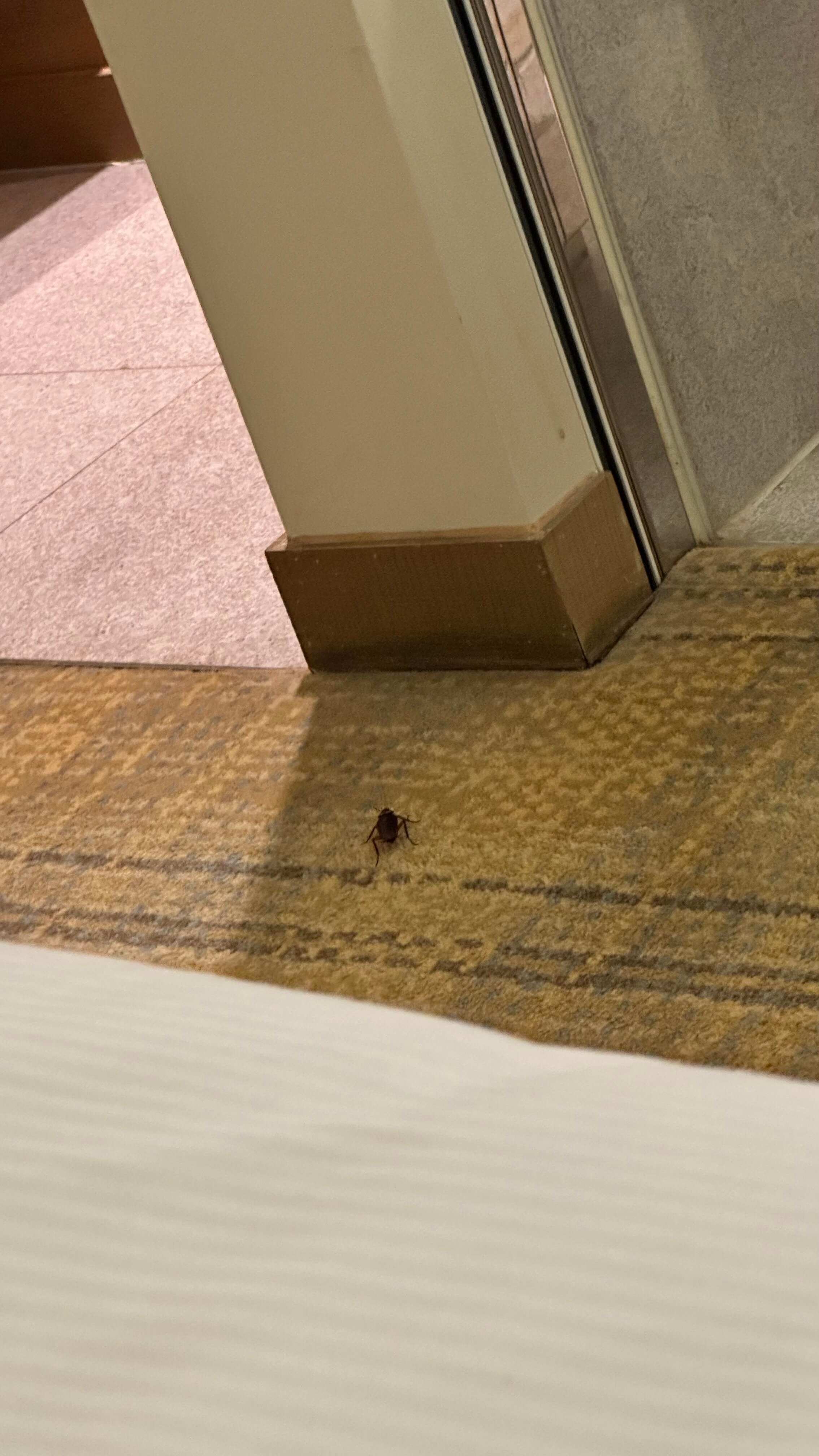 Фото DoubleTree by Hilton Kuala Lumpur