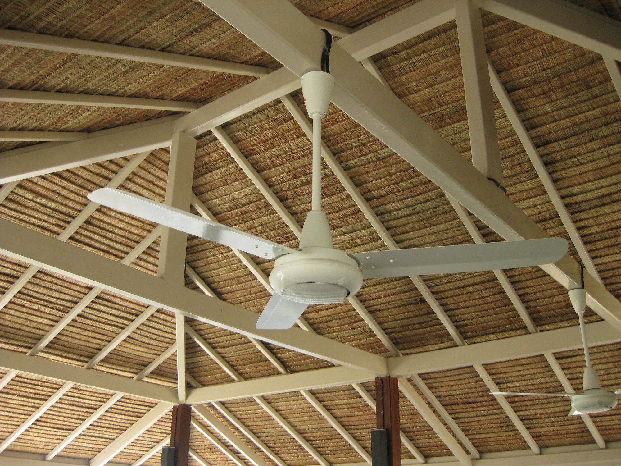 Фото Mama Beach Residence