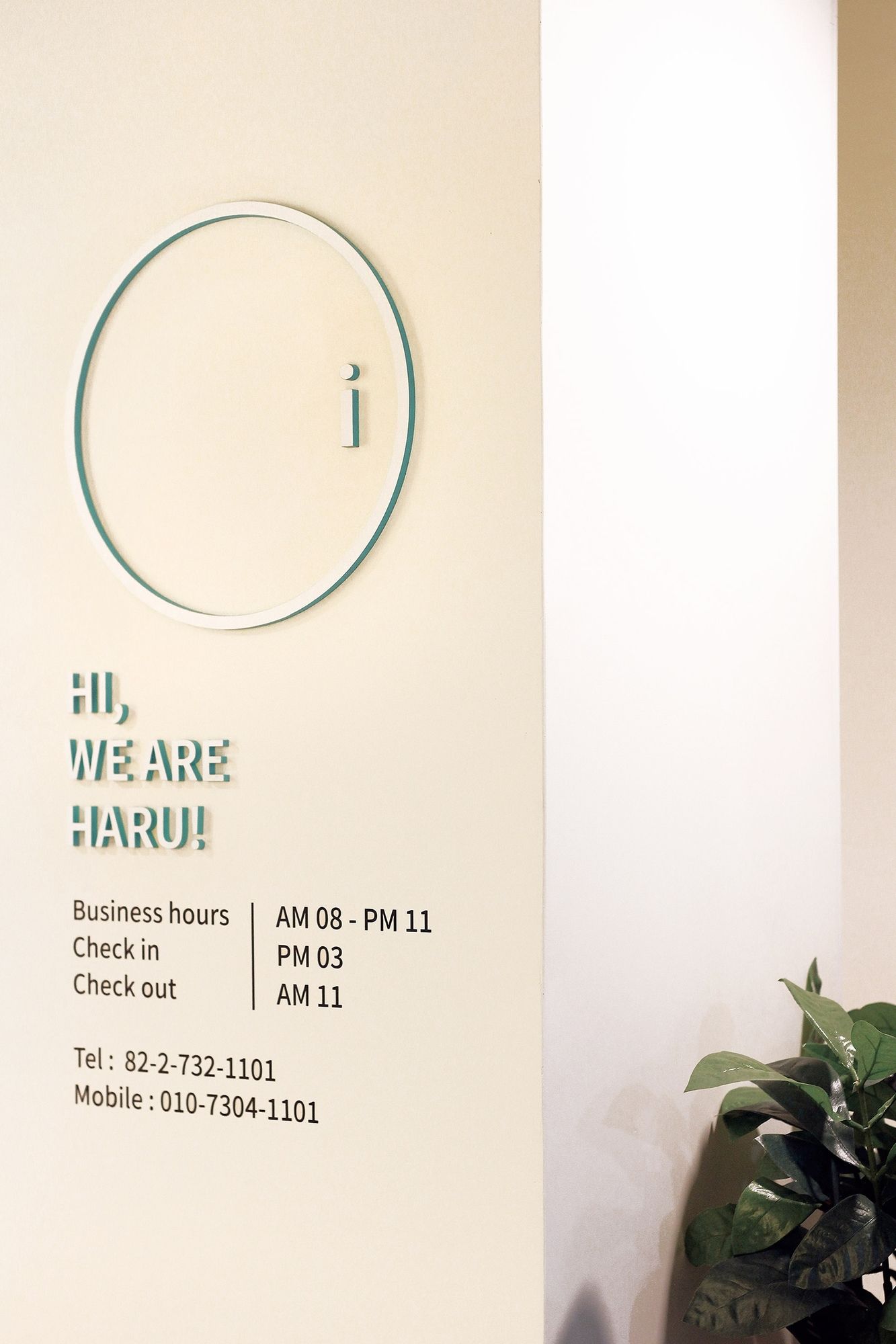 Фото Hostel Haru