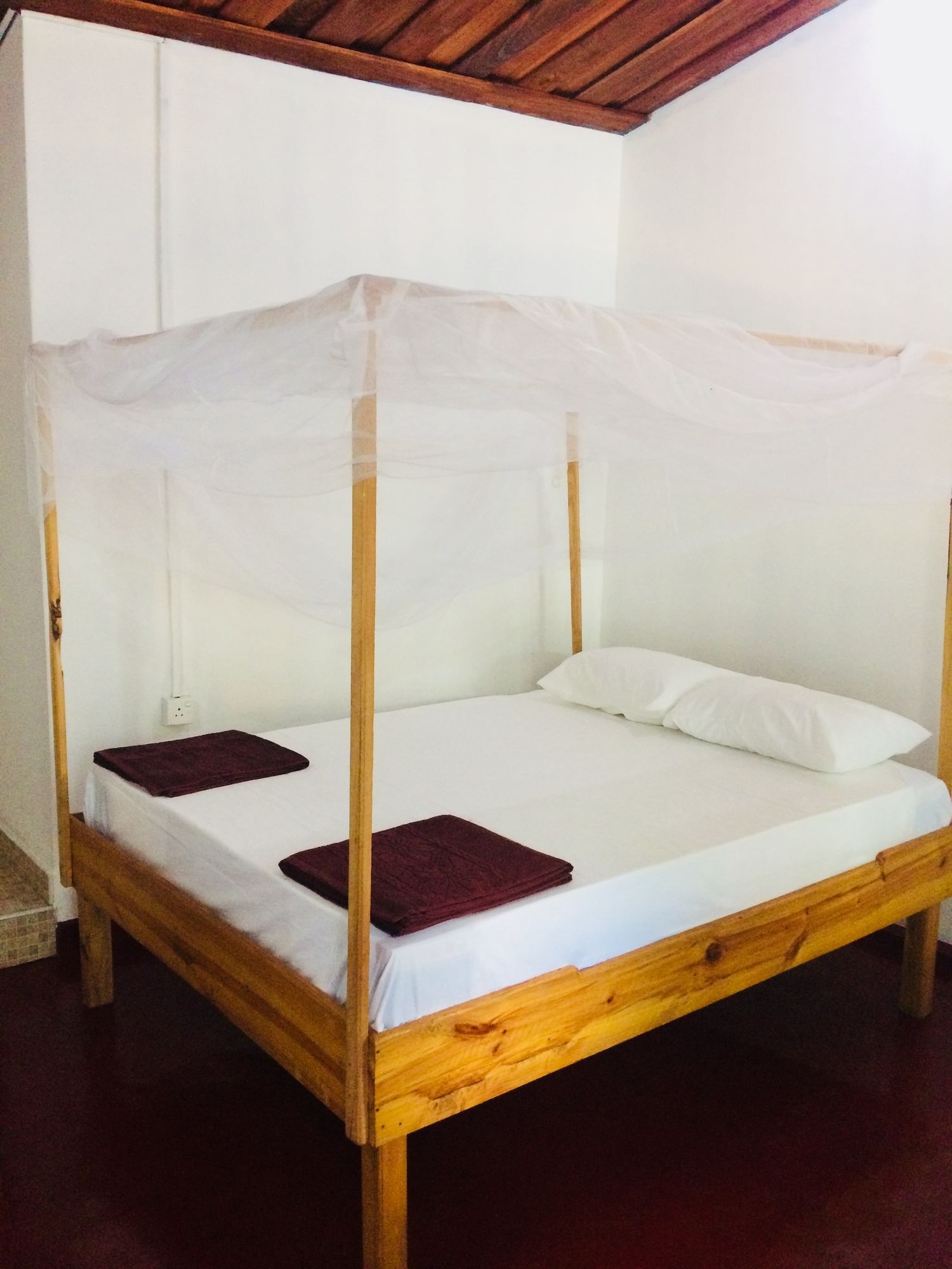 Фото Tropicana homestay