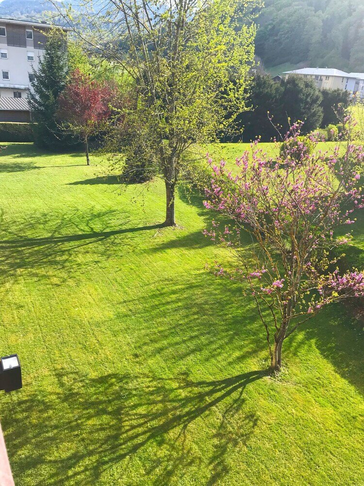 Фото Ibis Sallanches Porte du Mont Blanc