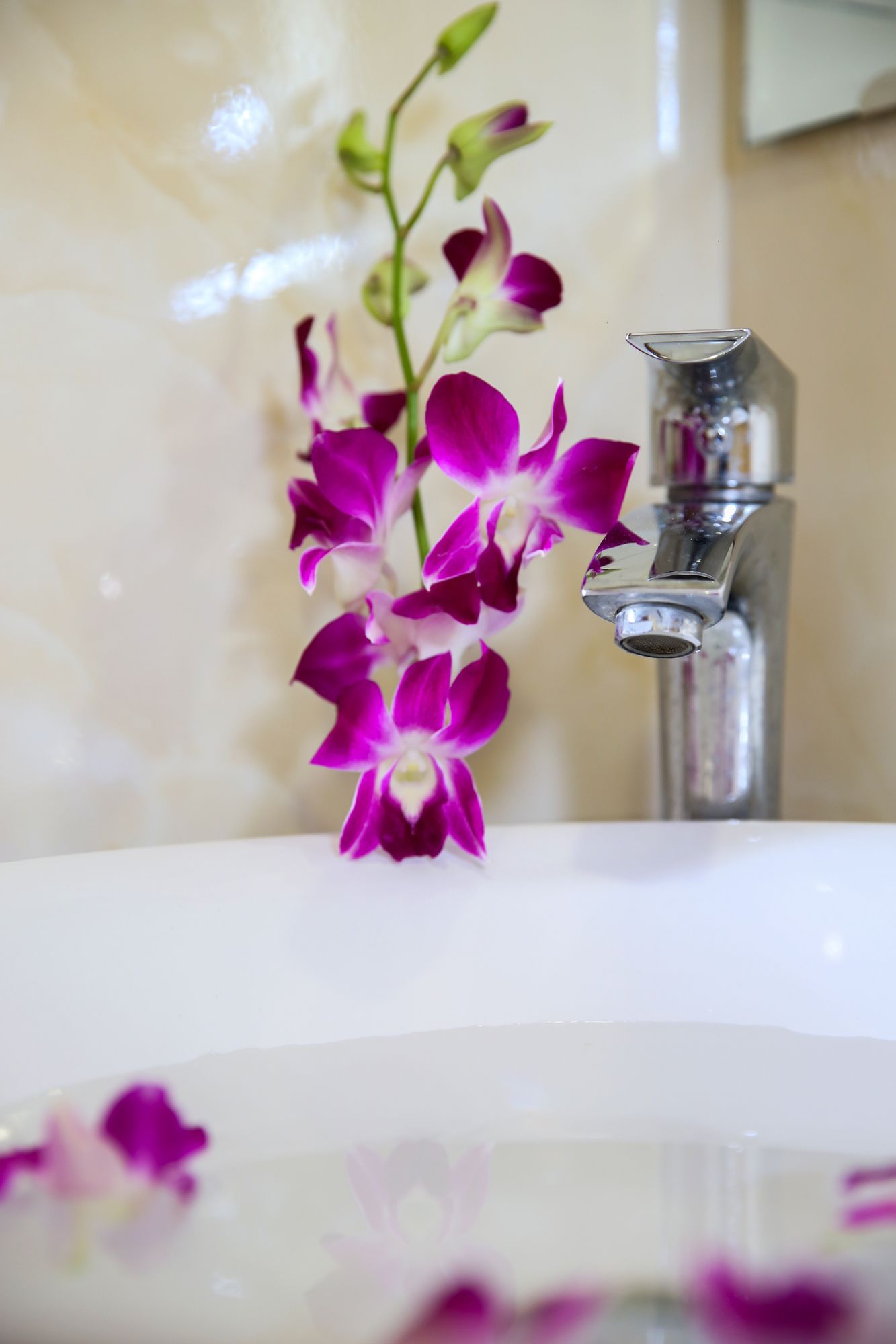 Фото Kingdom Hotel