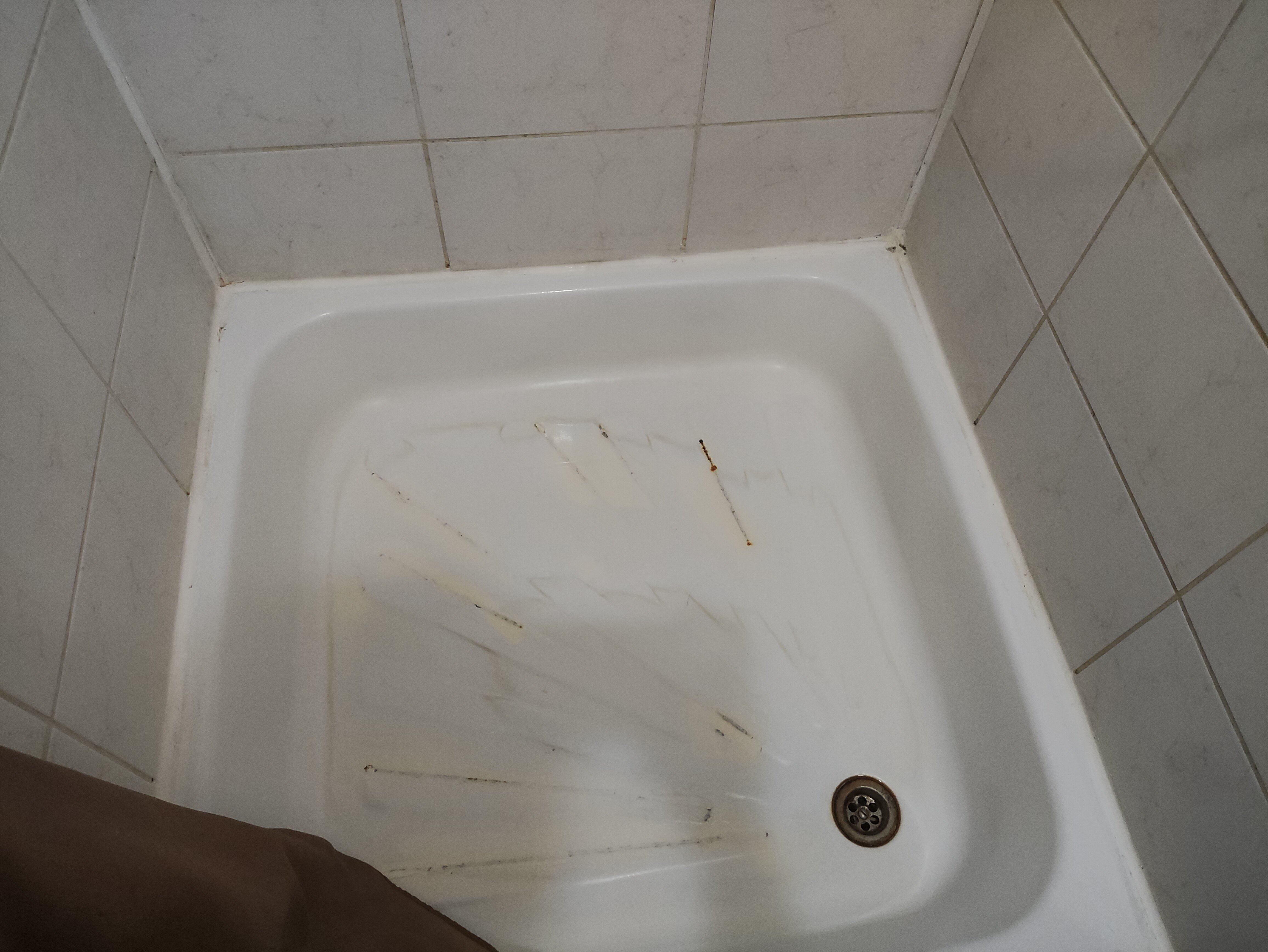 Фото Семейный