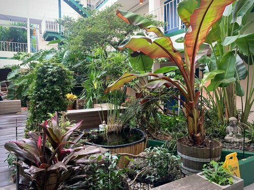 Гостиница Oasis Inn в Сан-Франциско