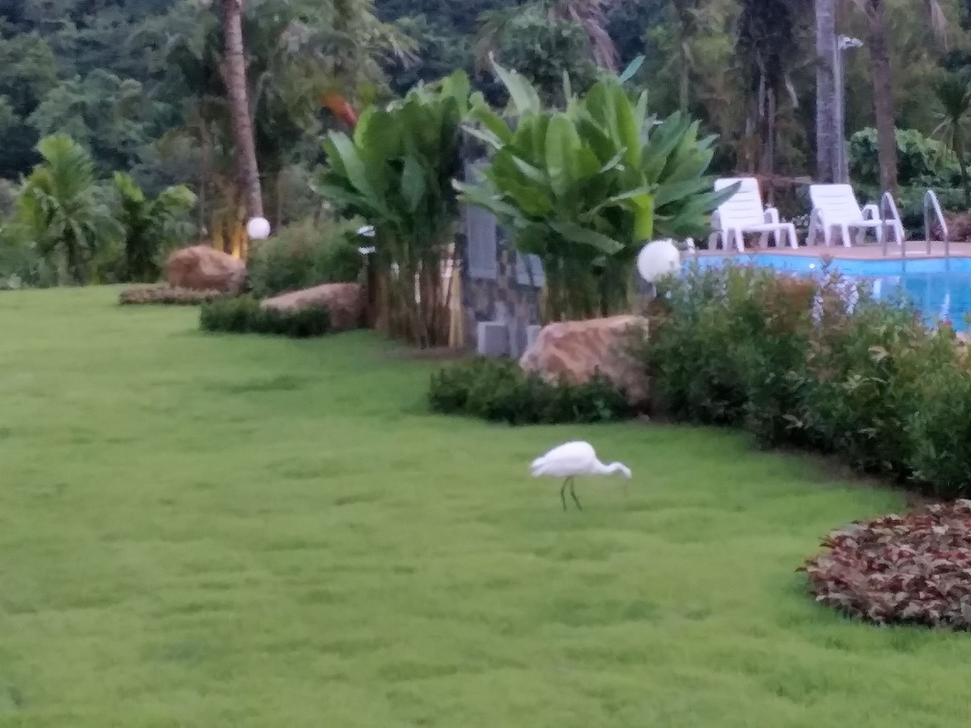 Фото Lanta Infinity Resort