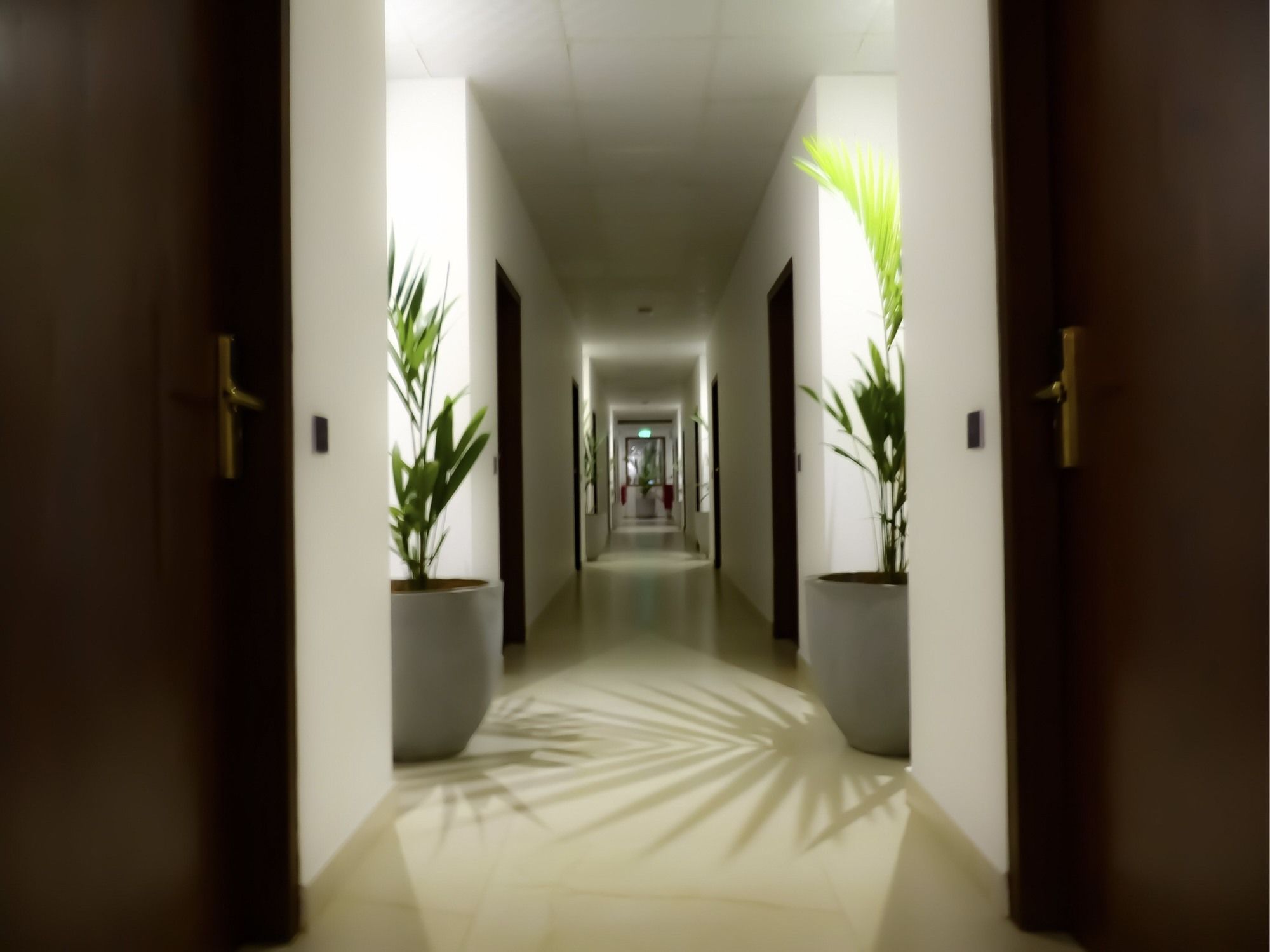 Фото Morven Colombo