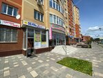 Kambria (Novo-Soldatskaya ulitsa, 6), flower shop
