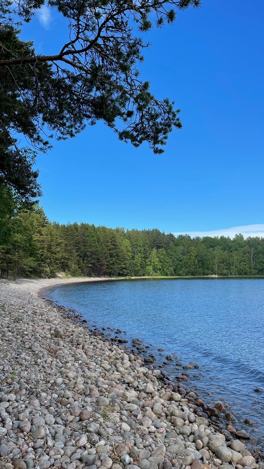 Фото Ладога Хоум