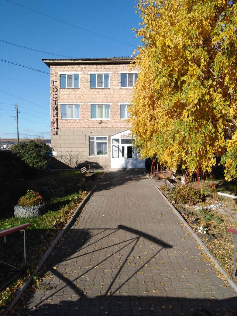 Фото Березка