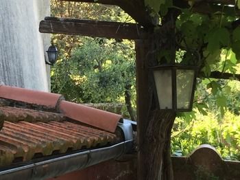 Фото La Casa Di Silvana